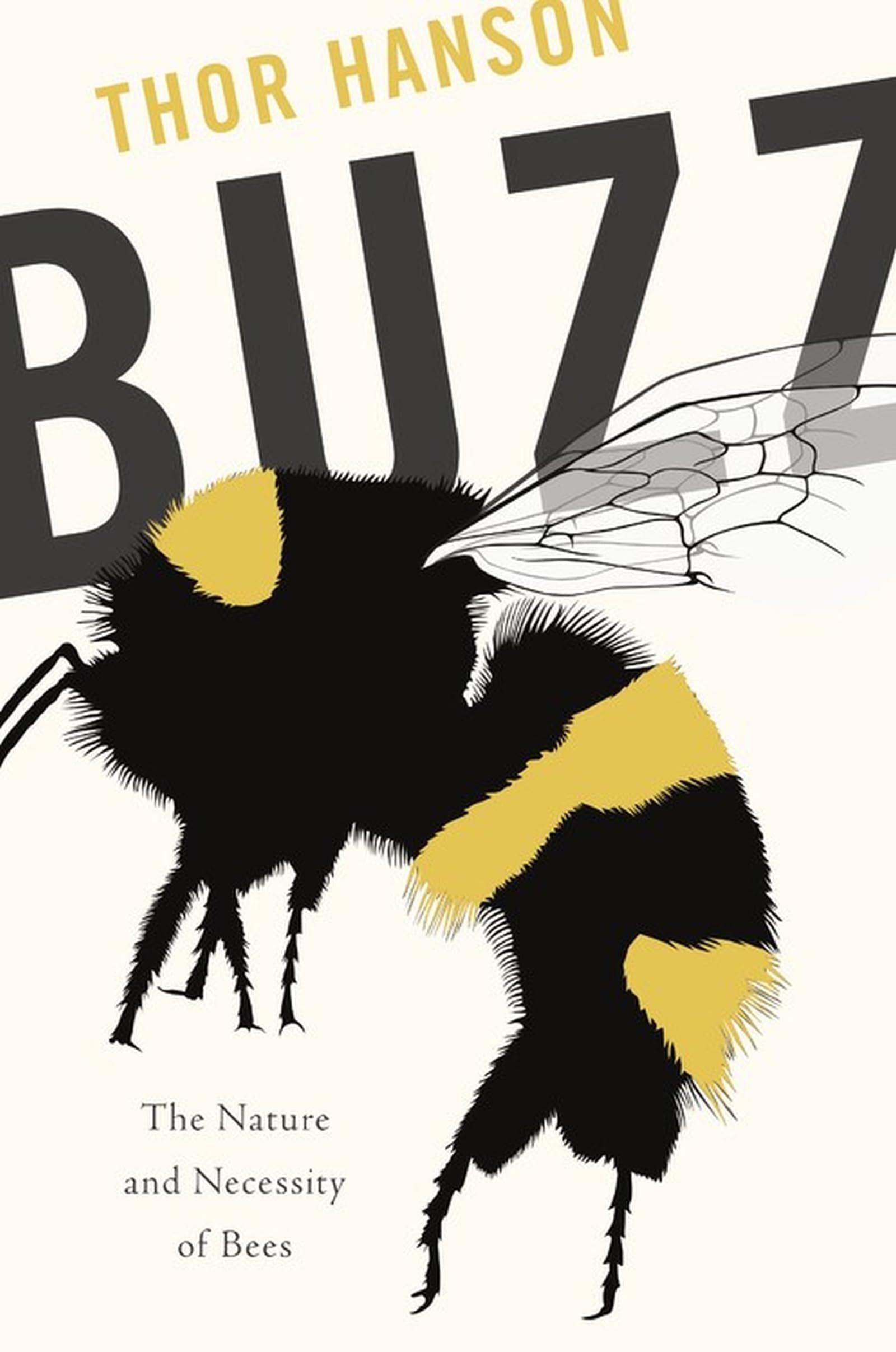 Buzz: The Nature and Necessity of Bees used book depot