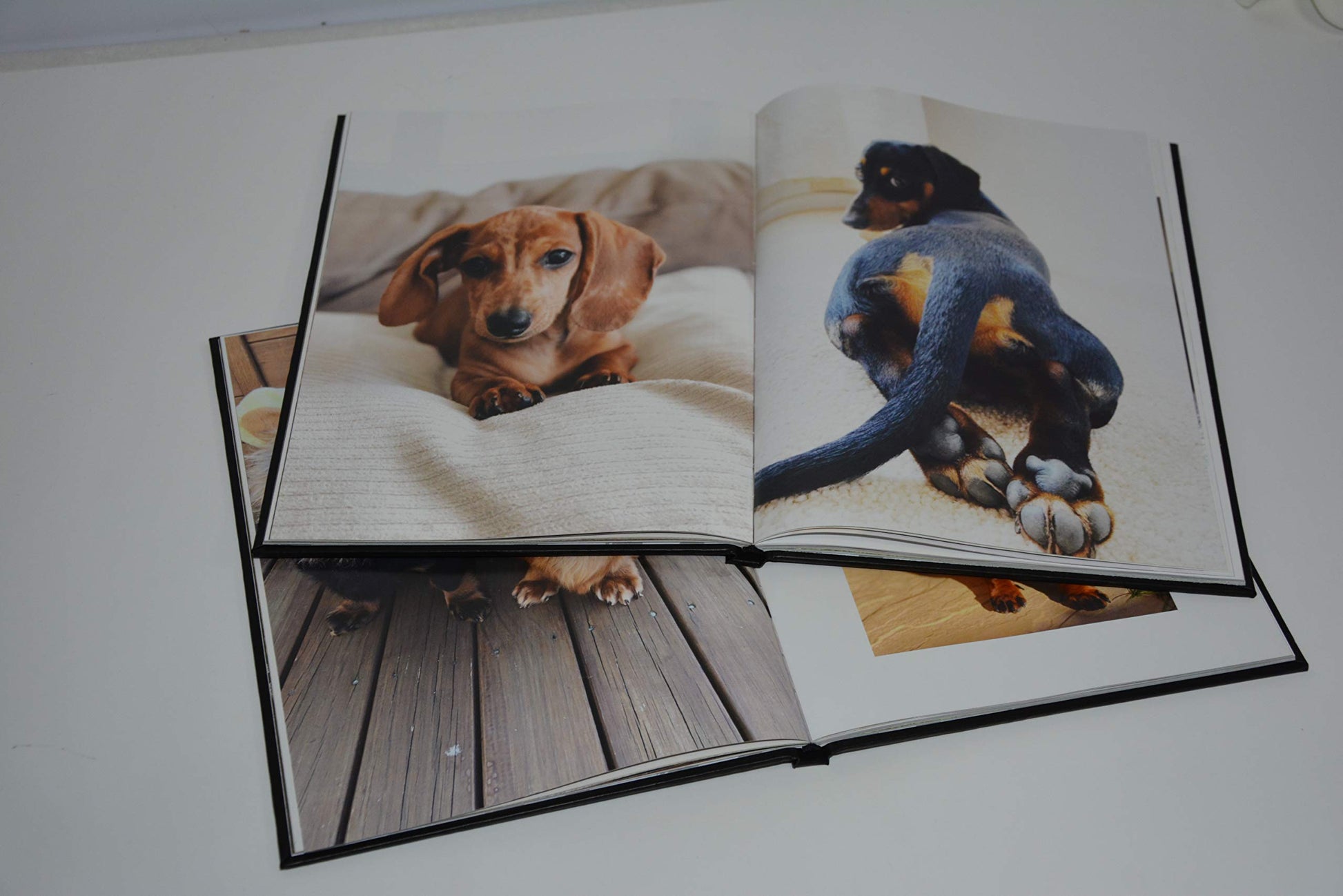 The Book of Dachshunds - Hardcover Dachshund Book used book depot