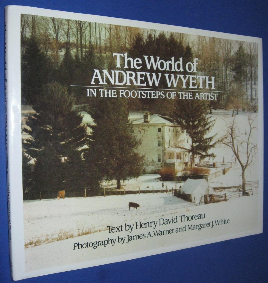 In the Footsteps of the Artist: Thoreau and the World of Andrew Wyeth used book depot