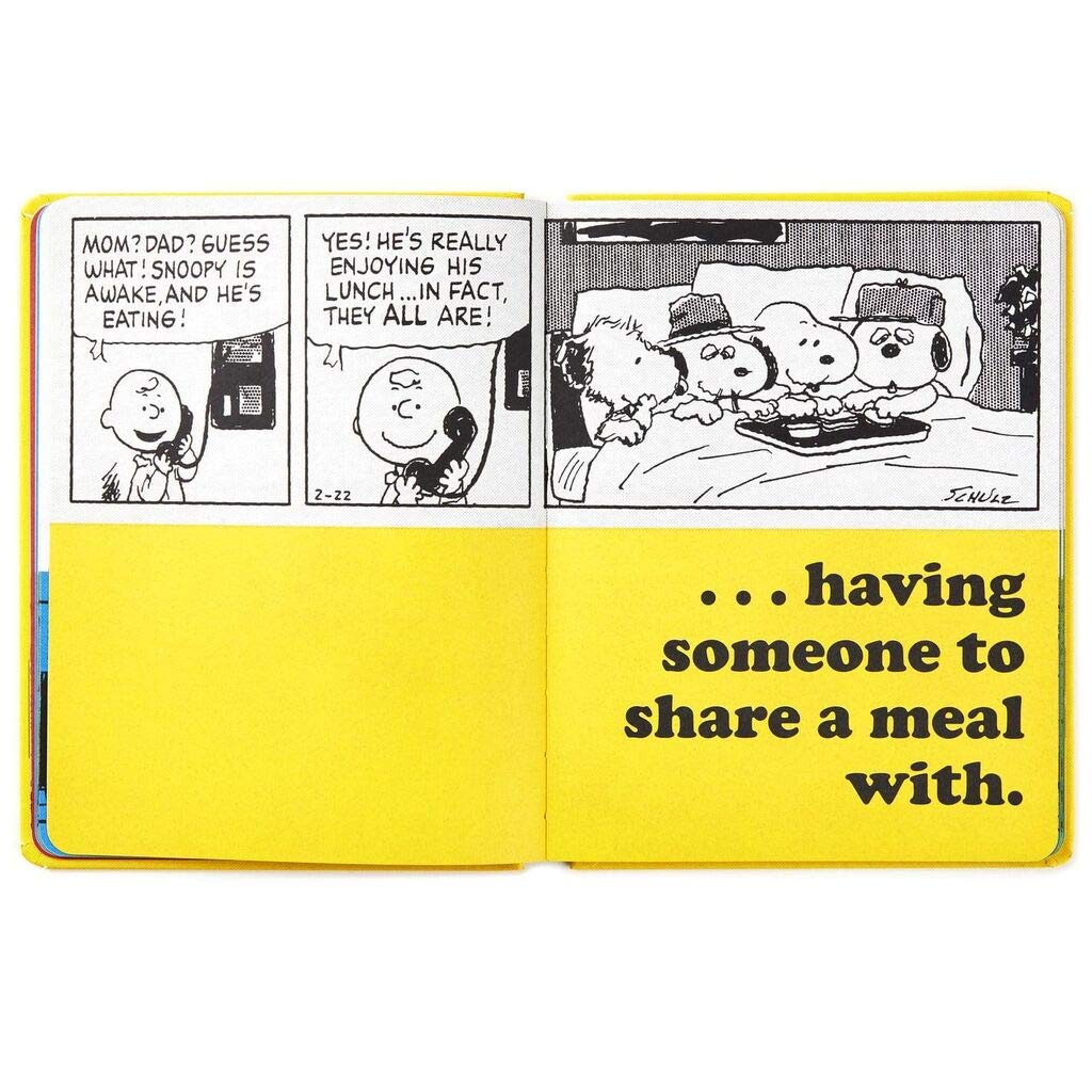 Peanuts Family Is Always Being Together used book depot