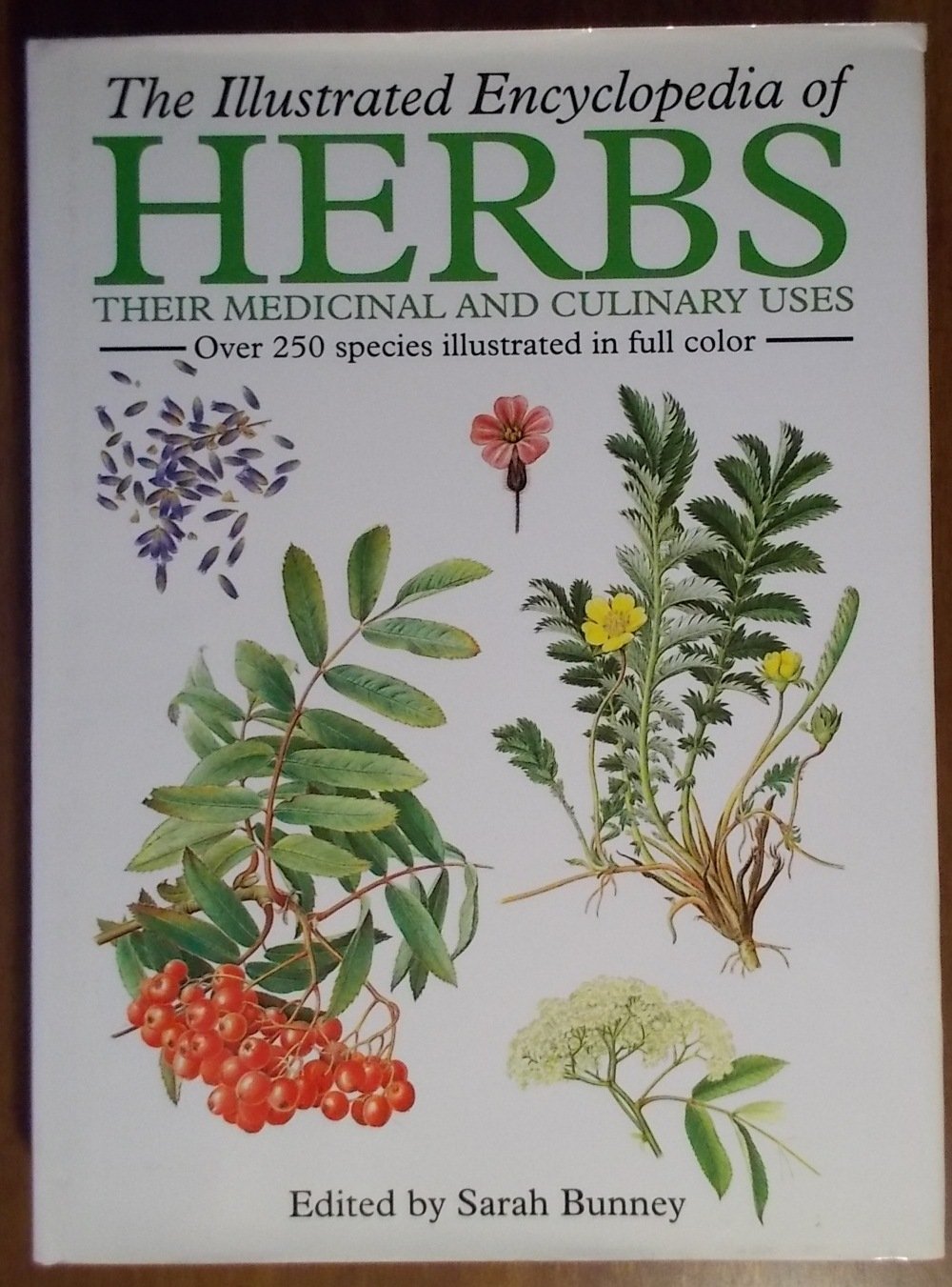 Illustrated Encyclopedia of Herbs used book depot
