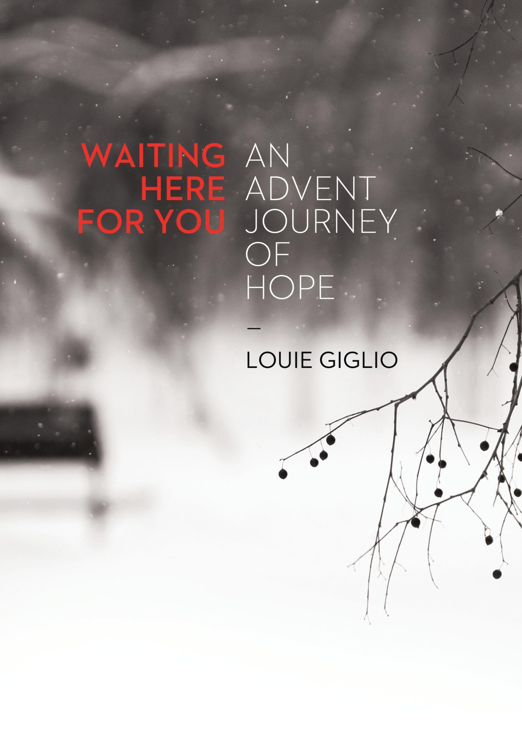 Waiting Here for You used book depot