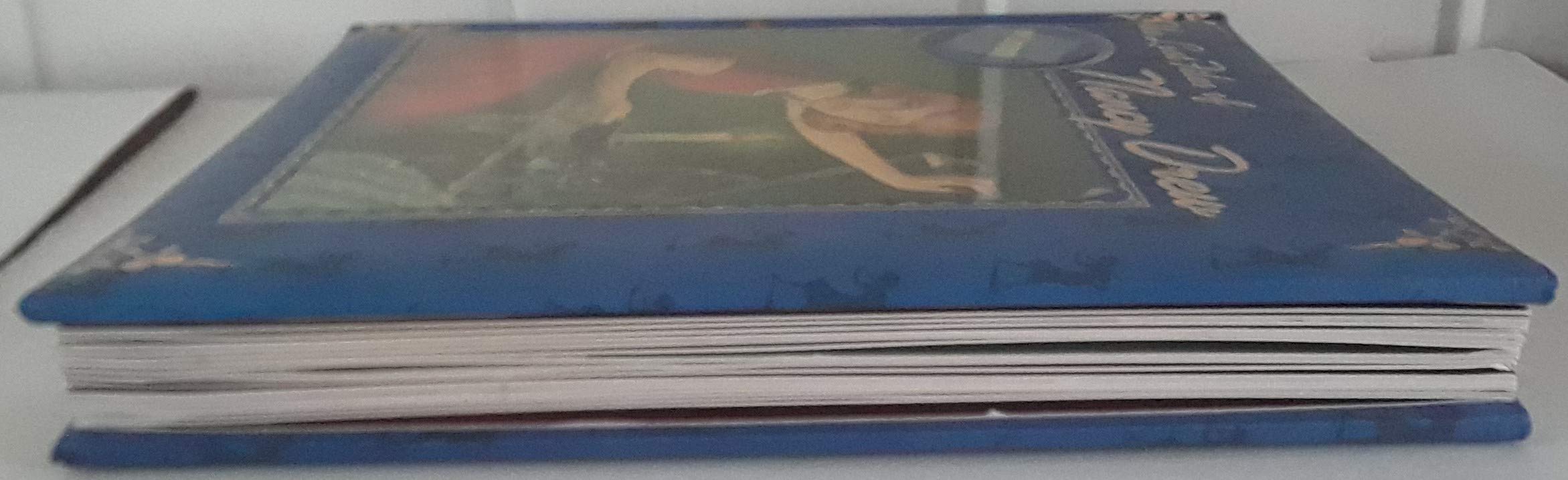 The Lost Files of Nancy Drew used book depot