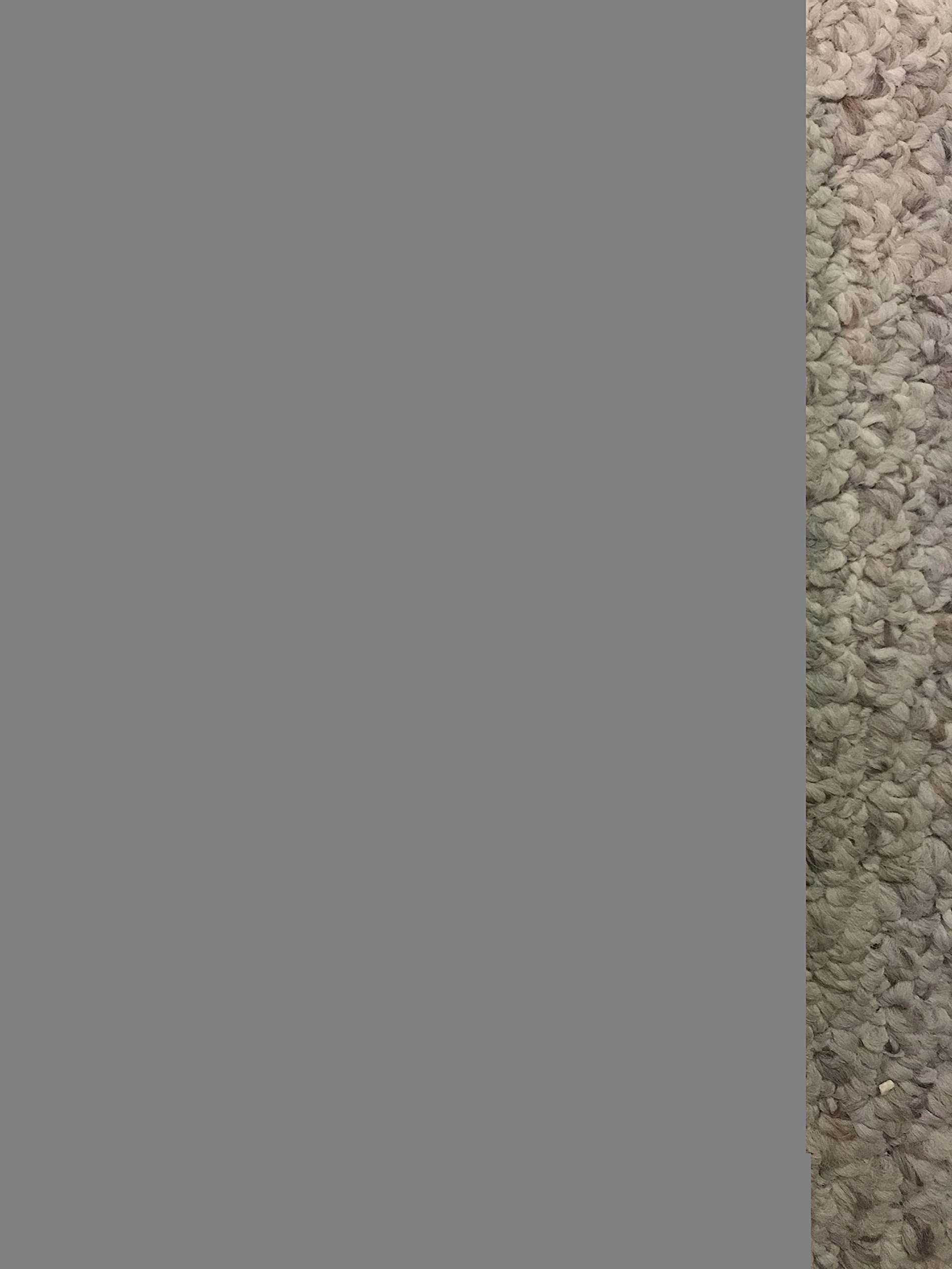 PT01