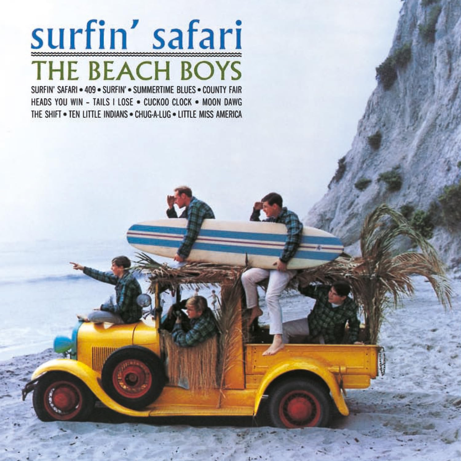 Surfin' Safari / Surfin' USA used book depot