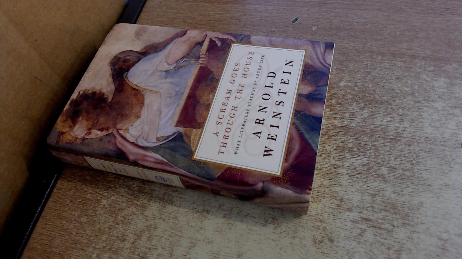 A Scream Goes Through the House: What Literature Teaches Us About Life used book depot