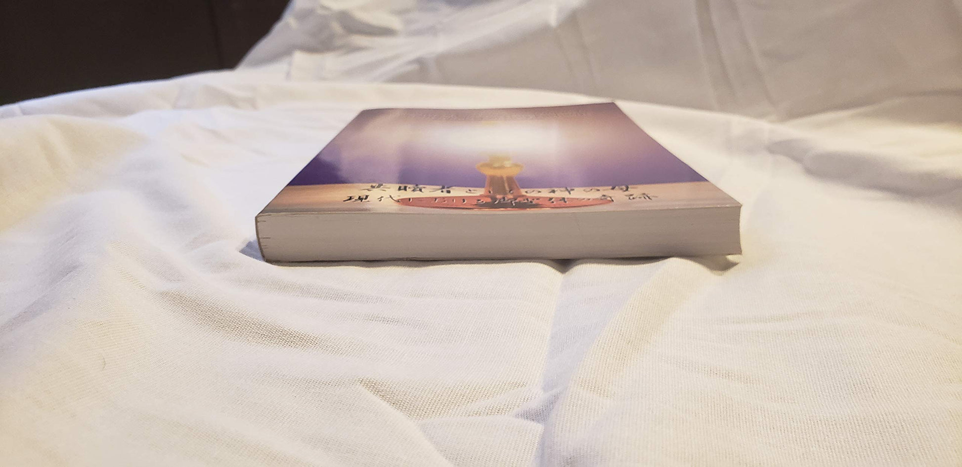 Akita: Mother of God as CoRedemptrix used book depot