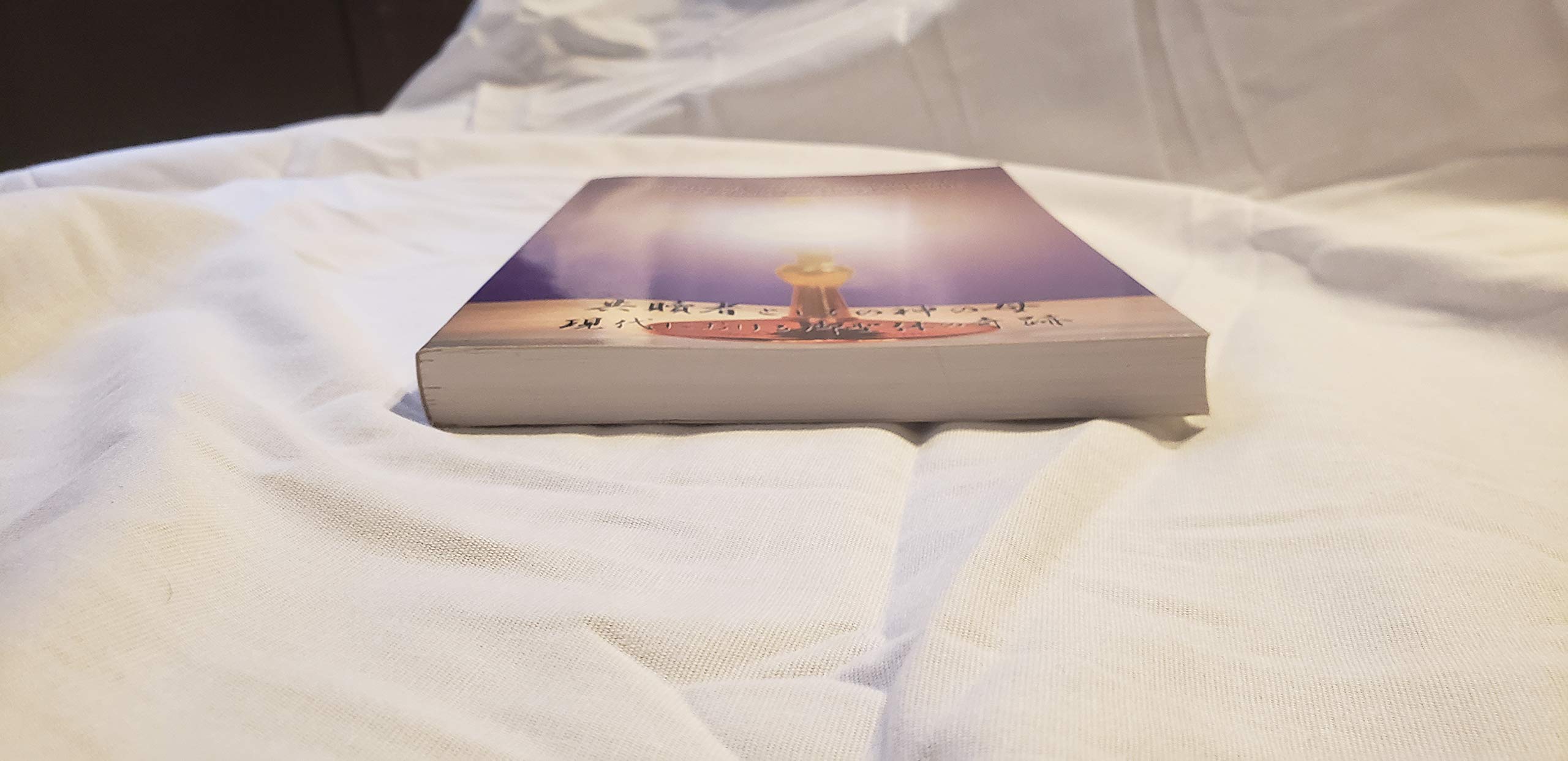 Akita: Mother of God as CoRedemptrix used book depot