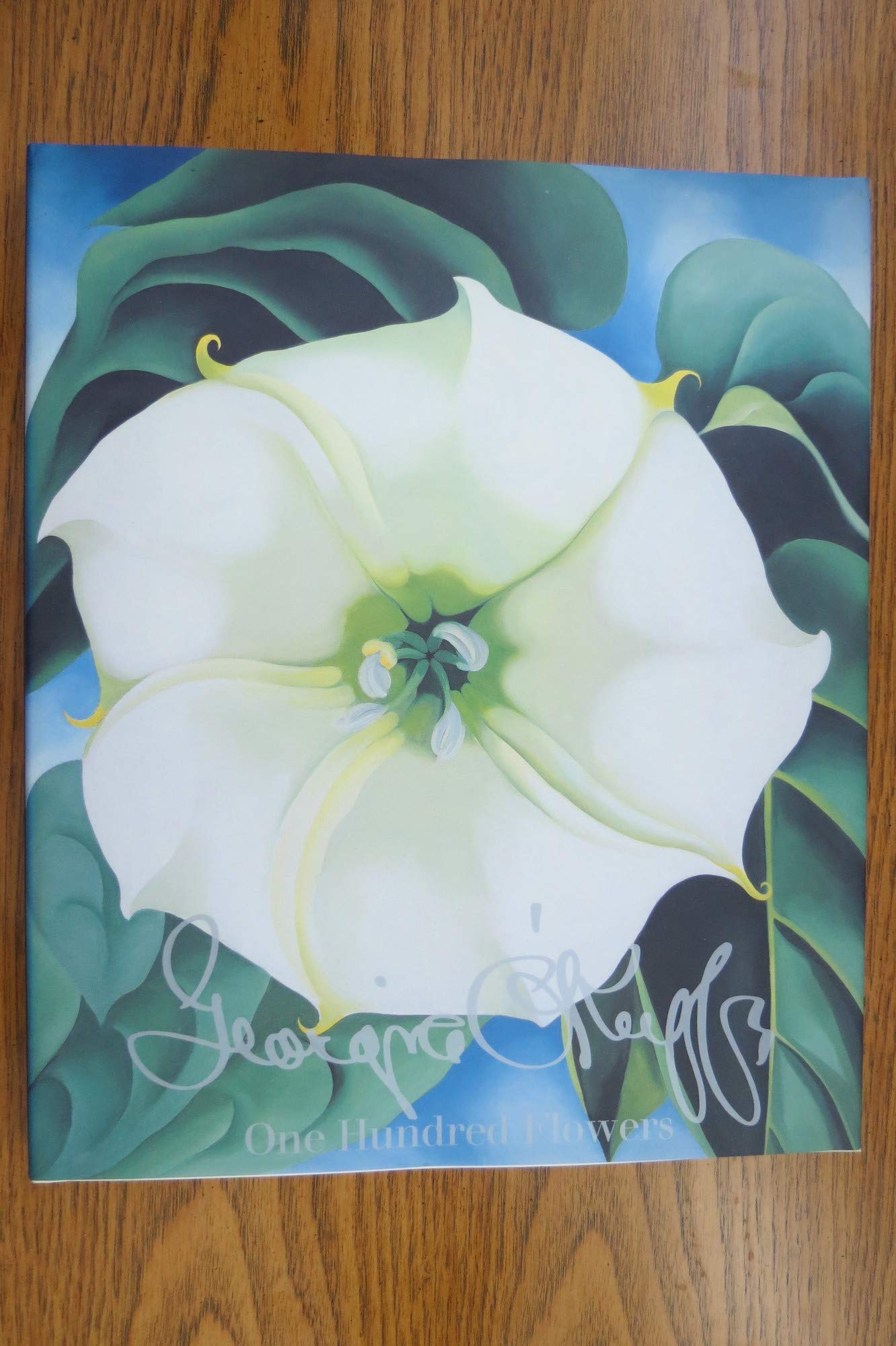 Georgia O'Keeffe: One Hundred Flowers used book depot