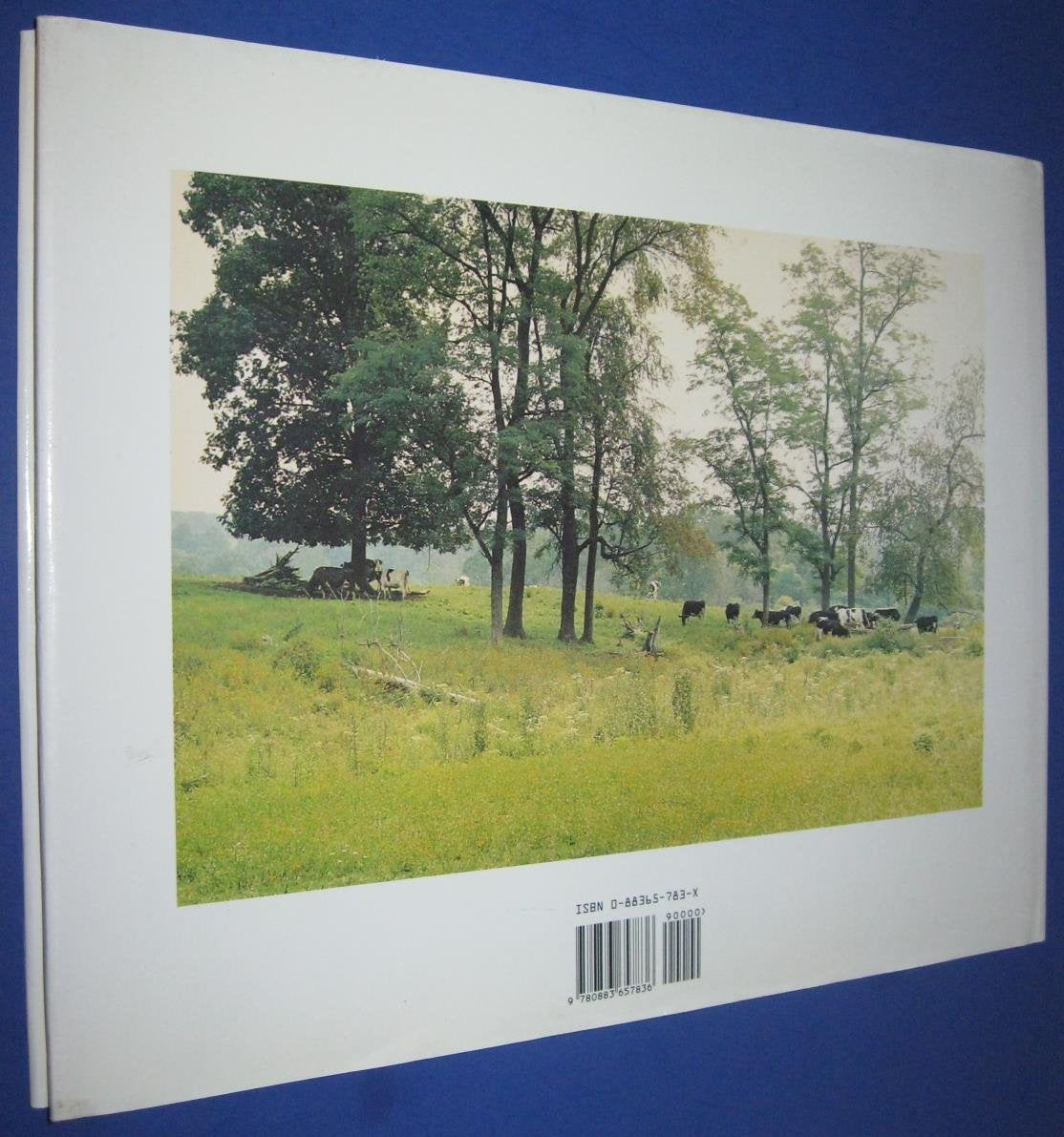In the Footsteps of the Artist: Thoreau and the World of Andrew Wyeth used book depot