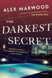 The Darkest Secret: A Novel used book depot