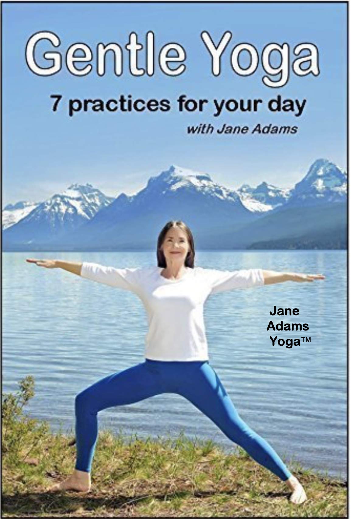 Gentle Yoga: 7 Beginning Yoga Practices for Mid-life (40's - 70's) including AM Energy, PM Relaxation, Improving Balance, Relief from Desk Work, Core Strength, and more. used book depot