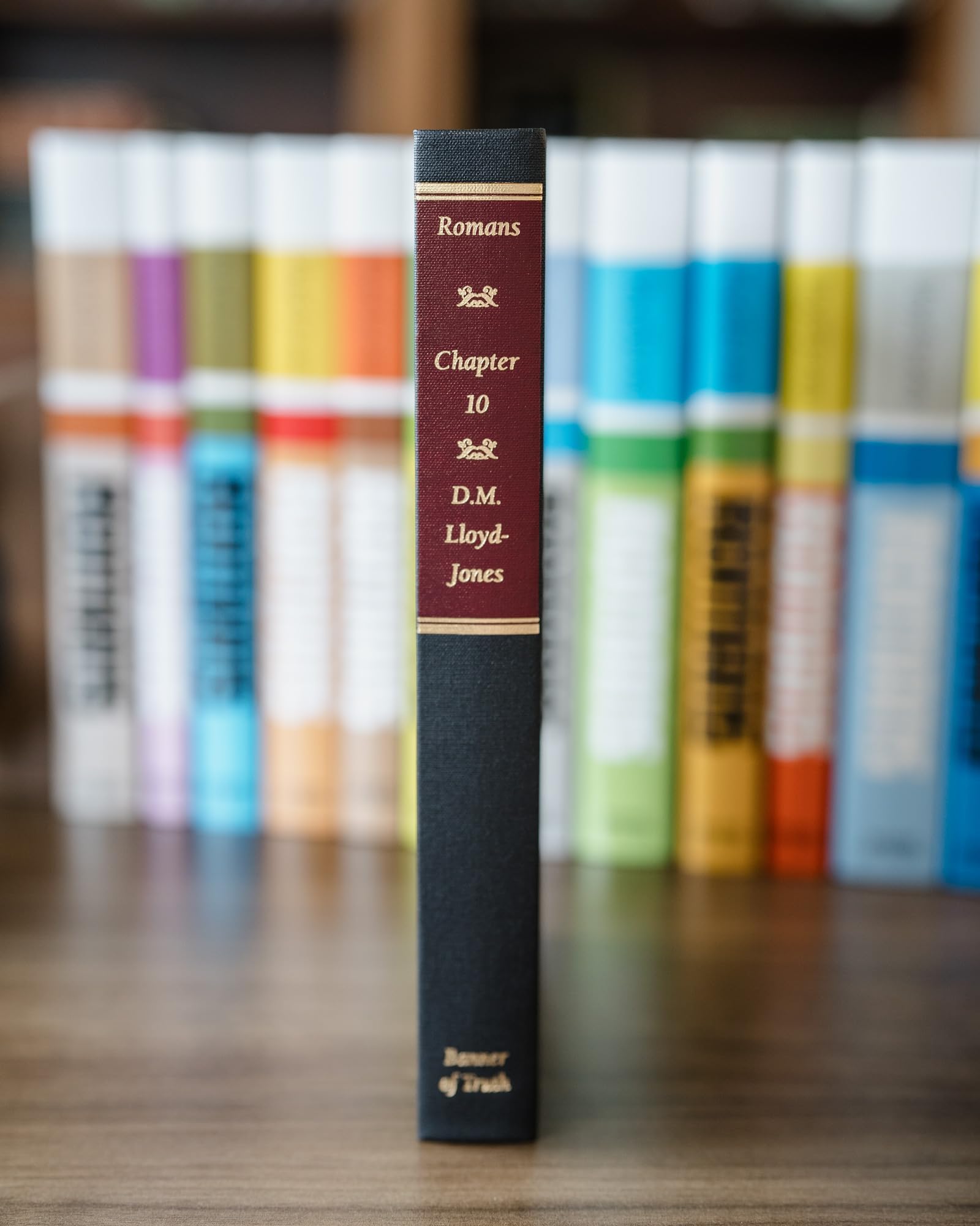 Romans 10: Saving Faith (Romans (Banner of Truth)) used book depot