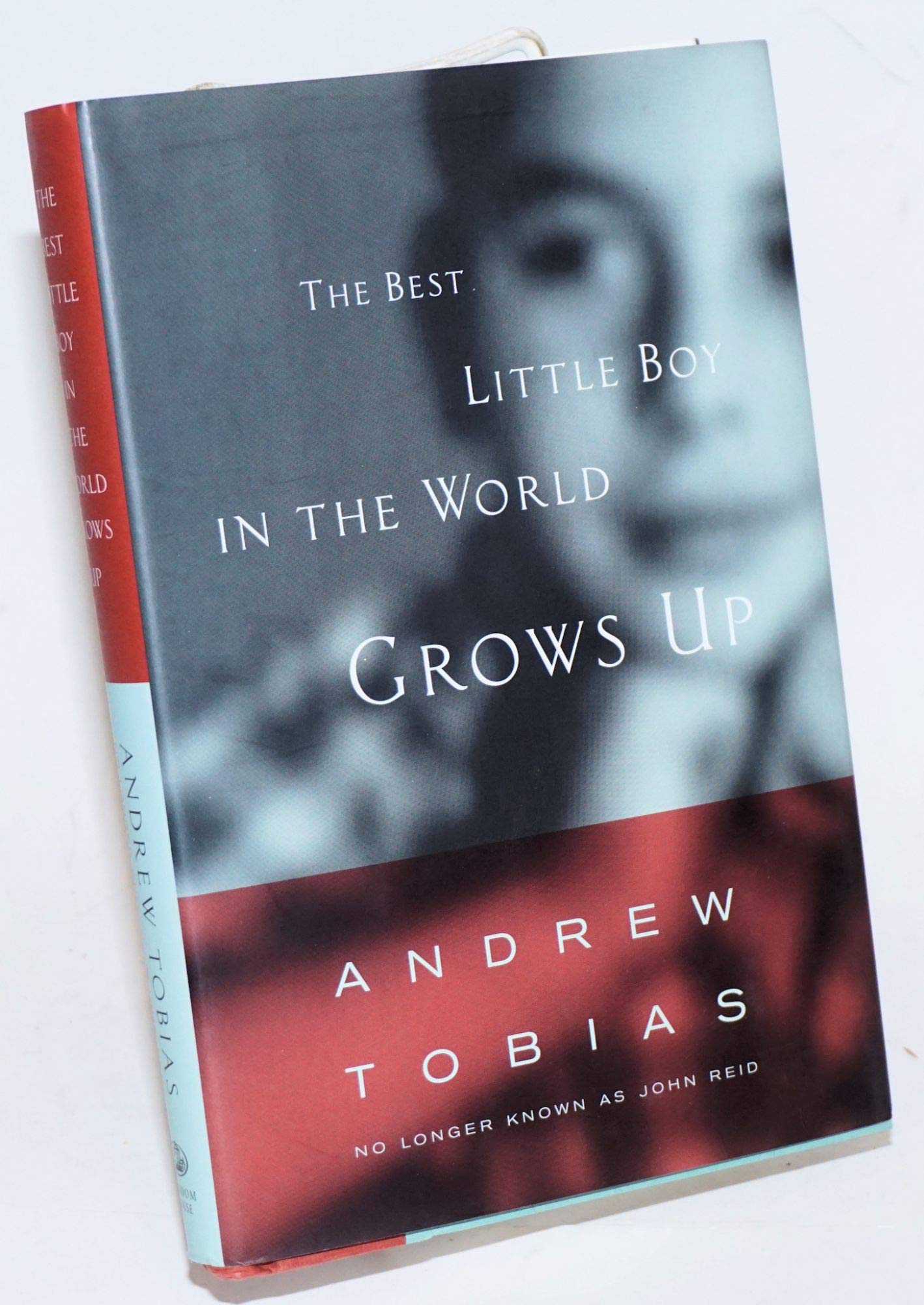 The Best Little Boy in the World Grows Up used book depot