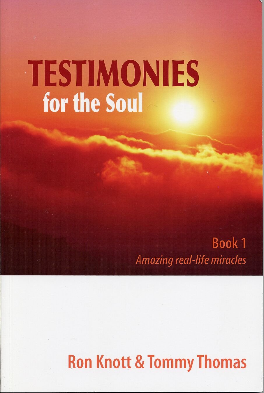 Testimonies For Soul used book depot