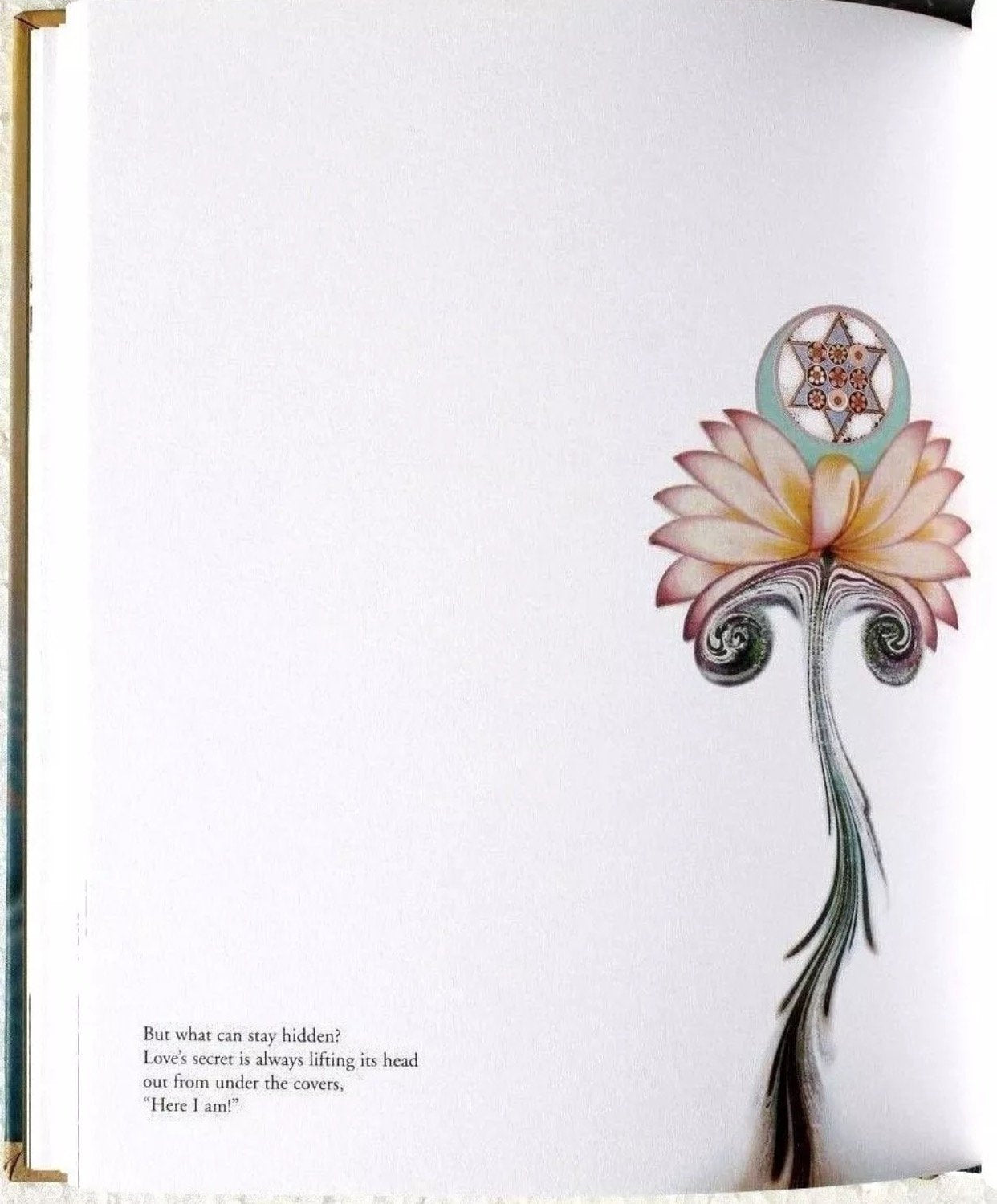 The Poetry of Rumi Illustrated Journal J1-RUM used book depot