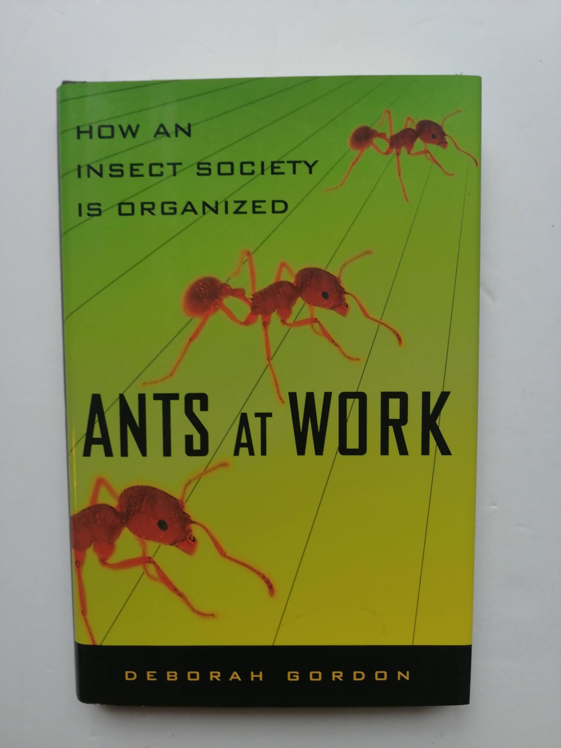 Ants At Work: How An Insect Society Is Organized used book depot