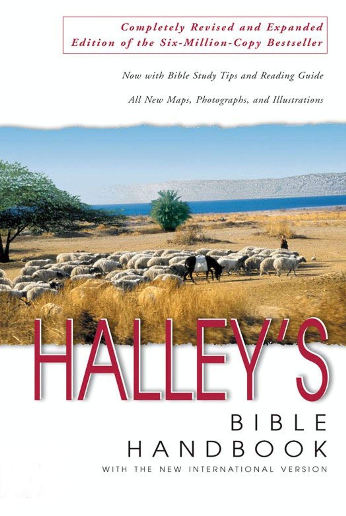 Halley's Bible Handbook with the New International Version used book depot