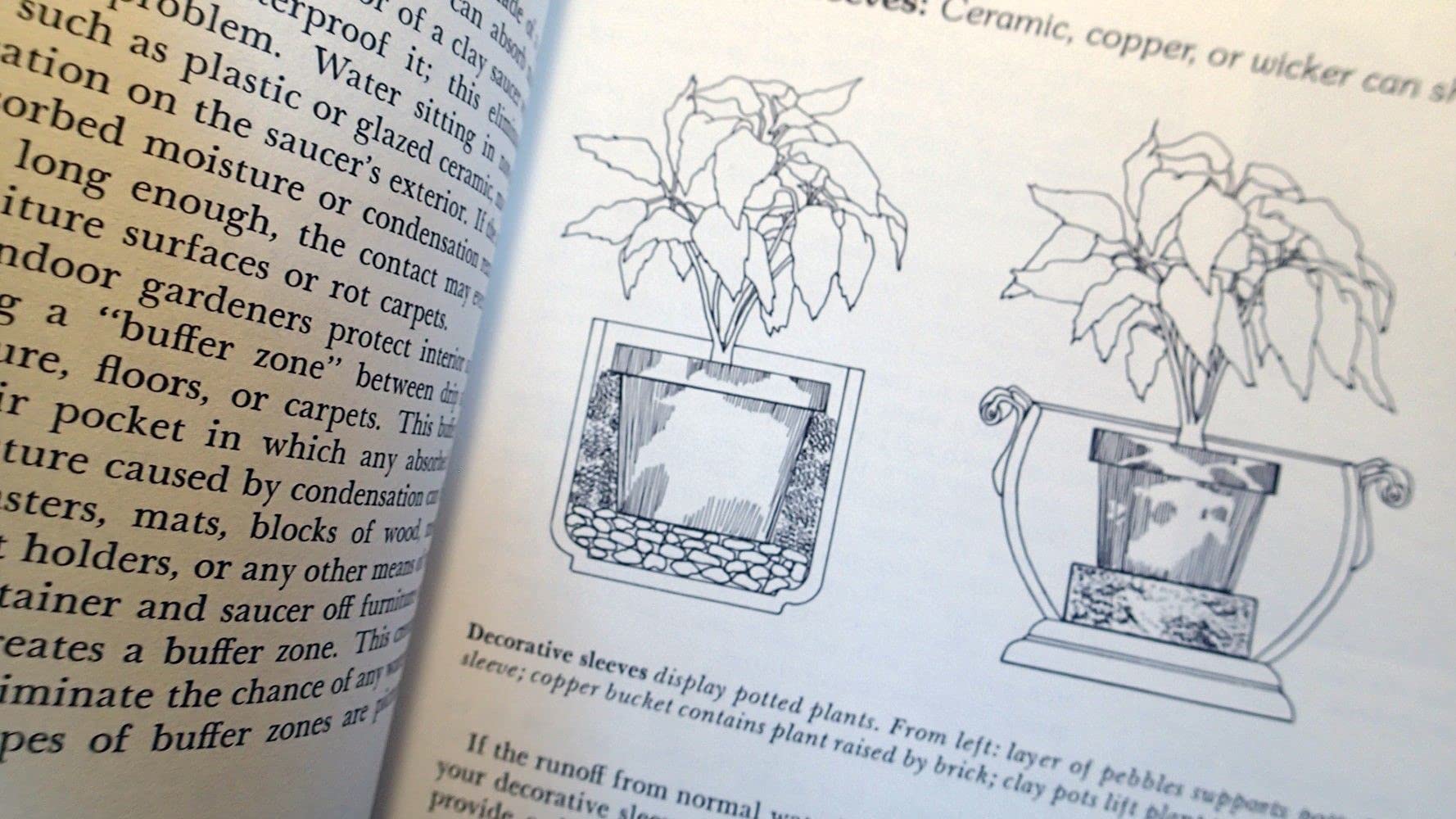 How to Grow House Plants used book depot