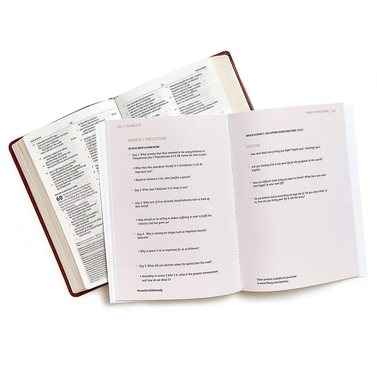 Seamless: Understanding the Bible as One Complete Story (Member Book) used book depot