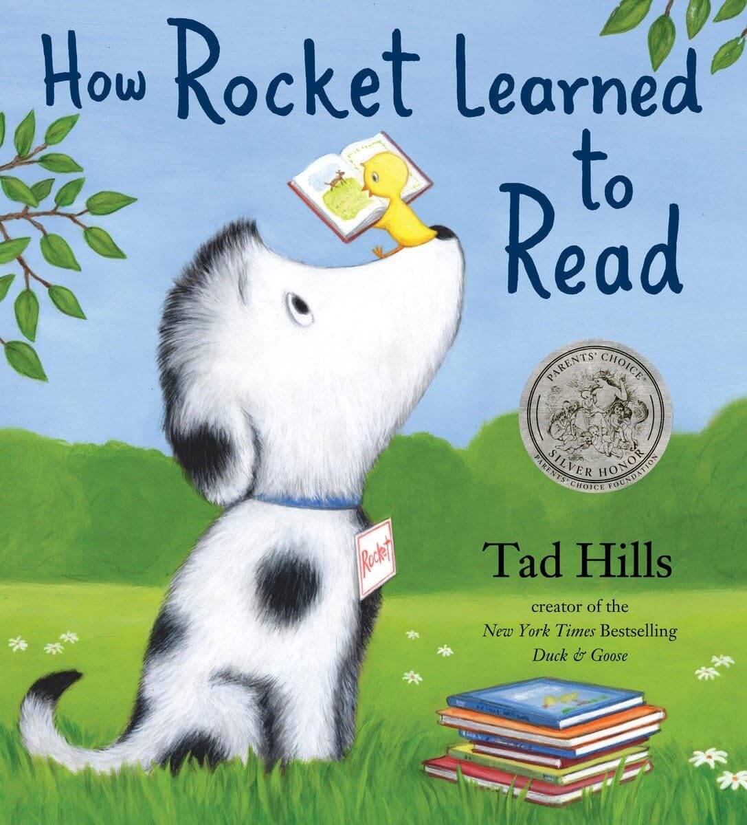 How Rocket Learned to Read used book depot