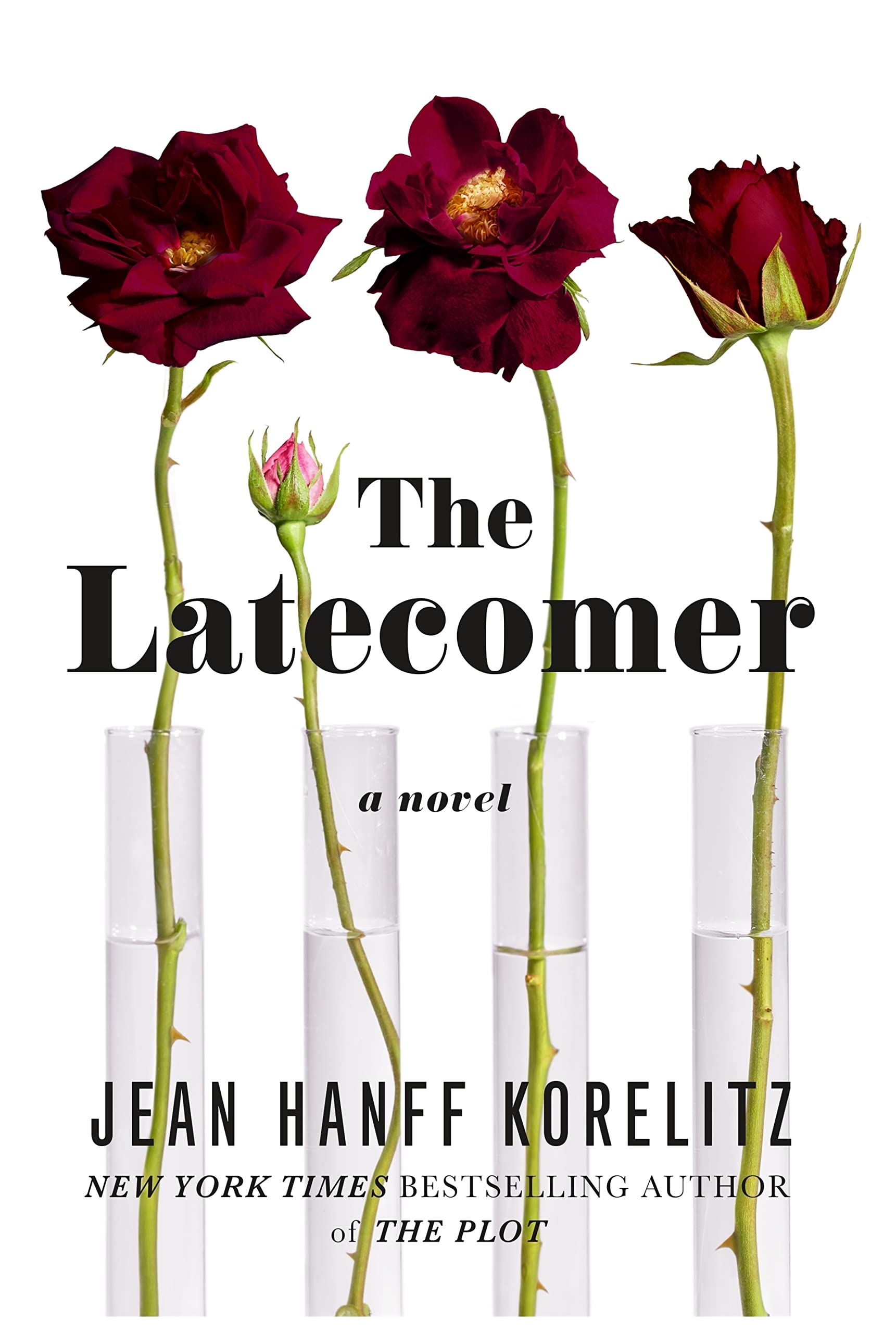 The Latecomer: A Novel used book depot