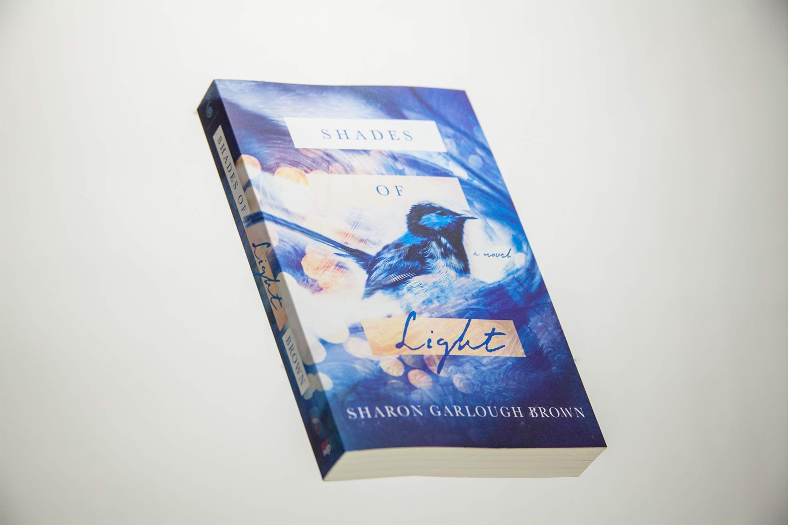 Shades of Light: A Novel used book depot