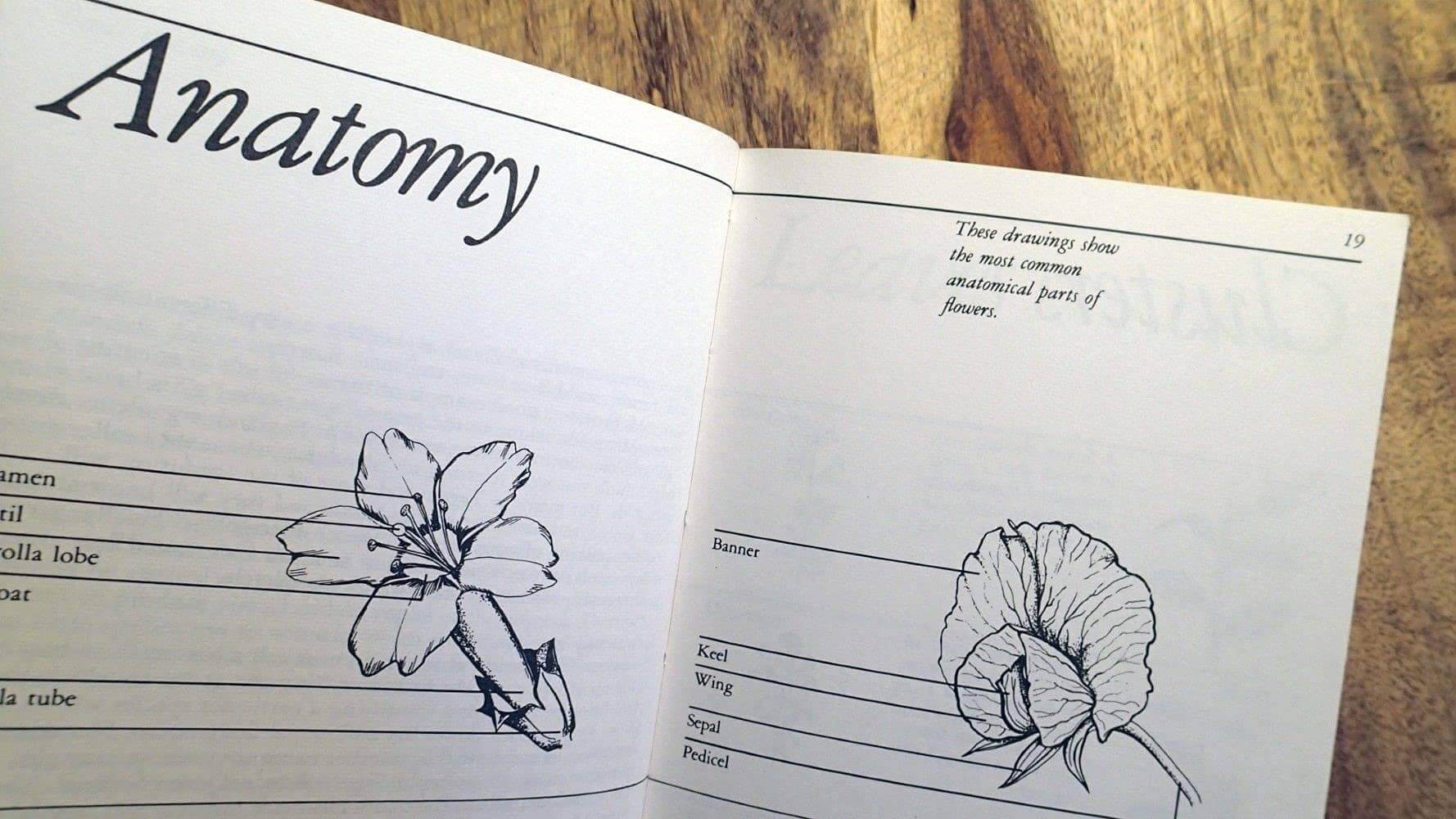 Taylor's Guide to Annuals (Taylor's Guide to Gardening) used book depot
