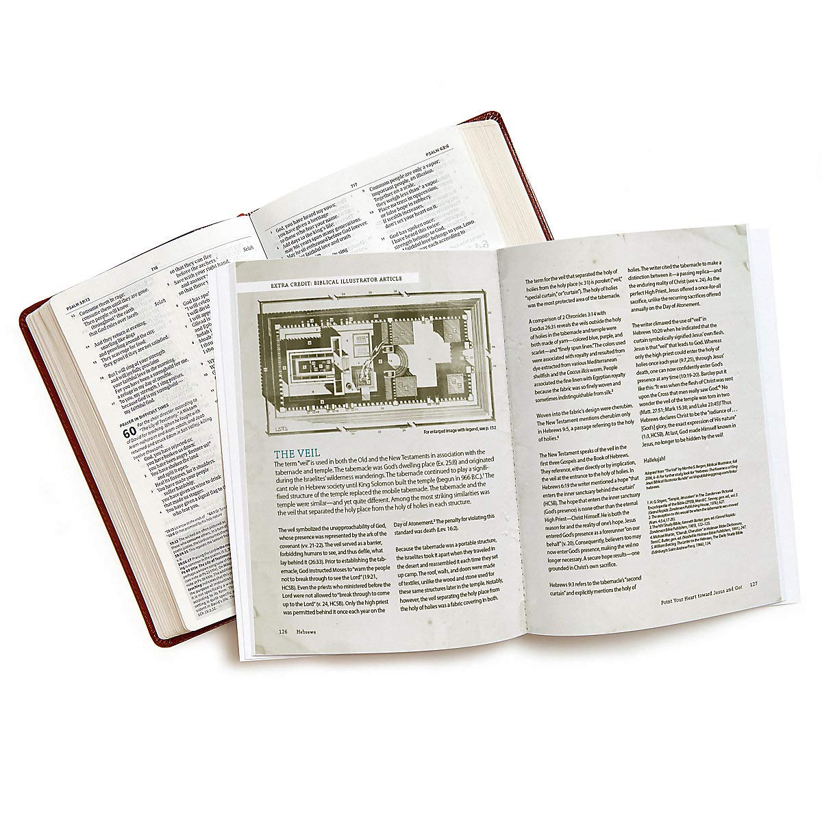 Hebrews Bible Study Book: The Nearness of King Jesus used book depot