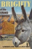 Brighty of the Grand Canyon [Paperback] Henry, Marguerite; Dennis, Wesley and Sloan, Sam