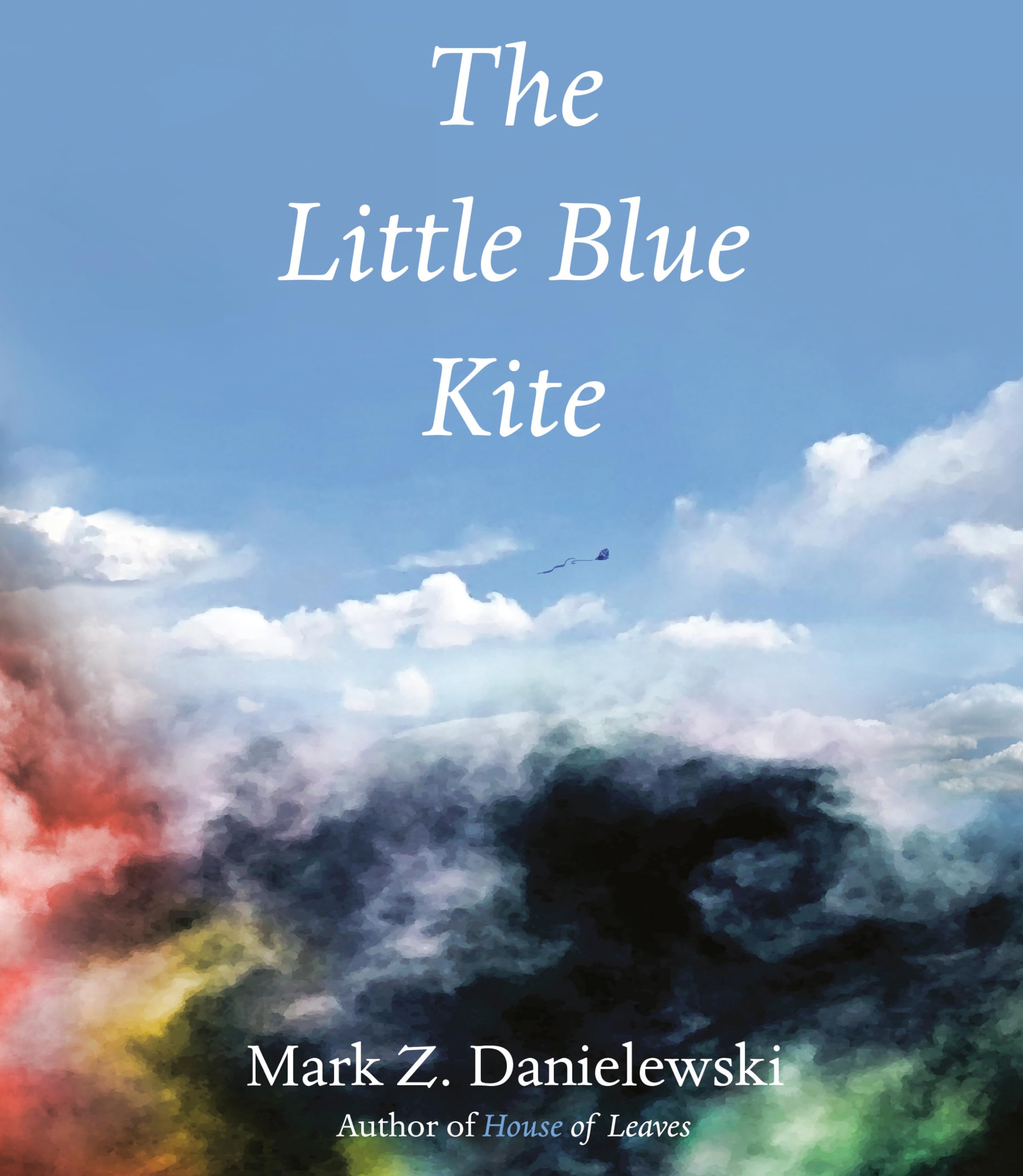 The Little Blue Kite used book depot