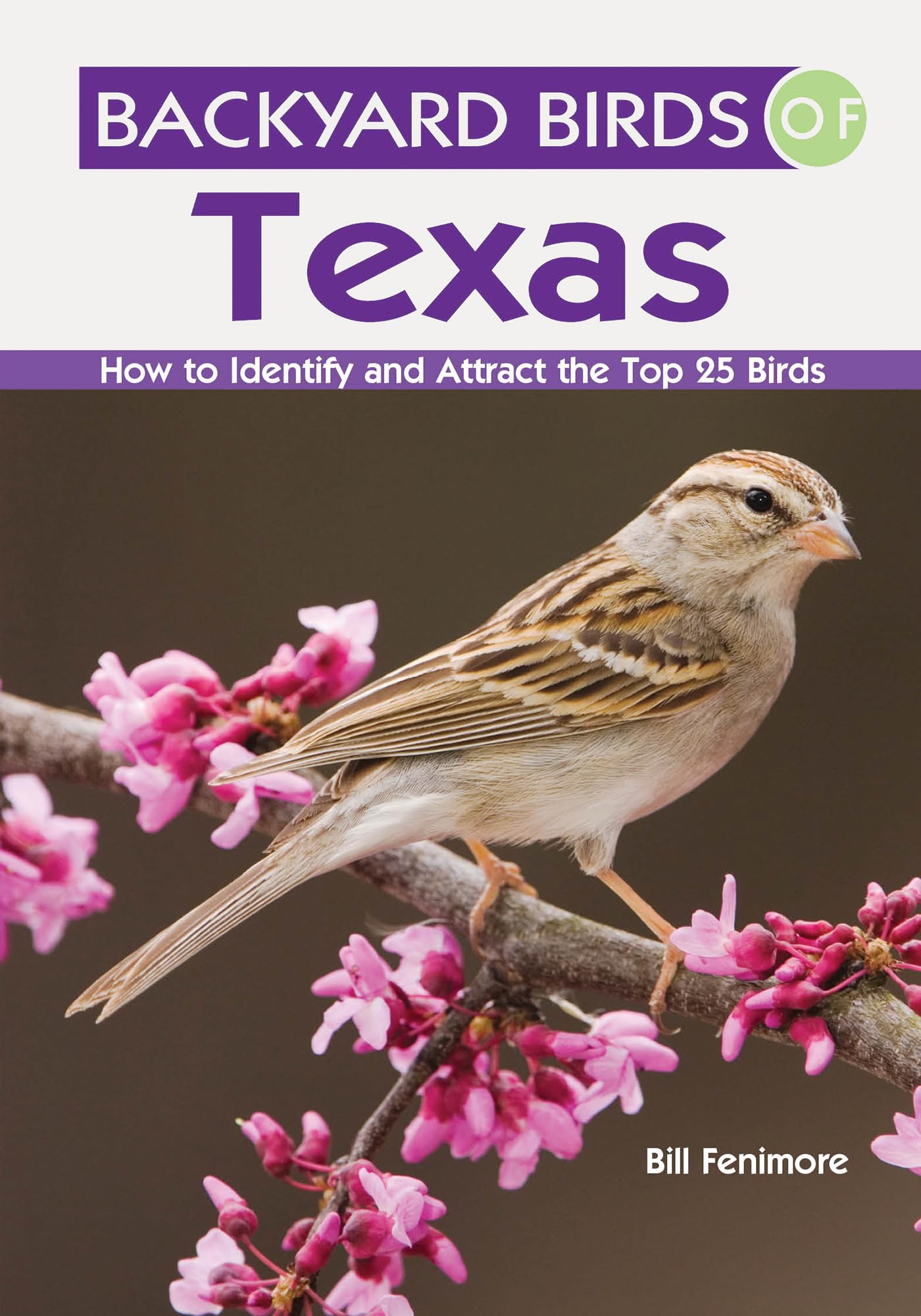 Backyard Birds of Texas: How to Identify and Attract the Top 25 Birds used book depot
