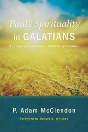 Paul's Spirituality in Galatians: A Critique of Contemporary Christian Spiritualities used book depot