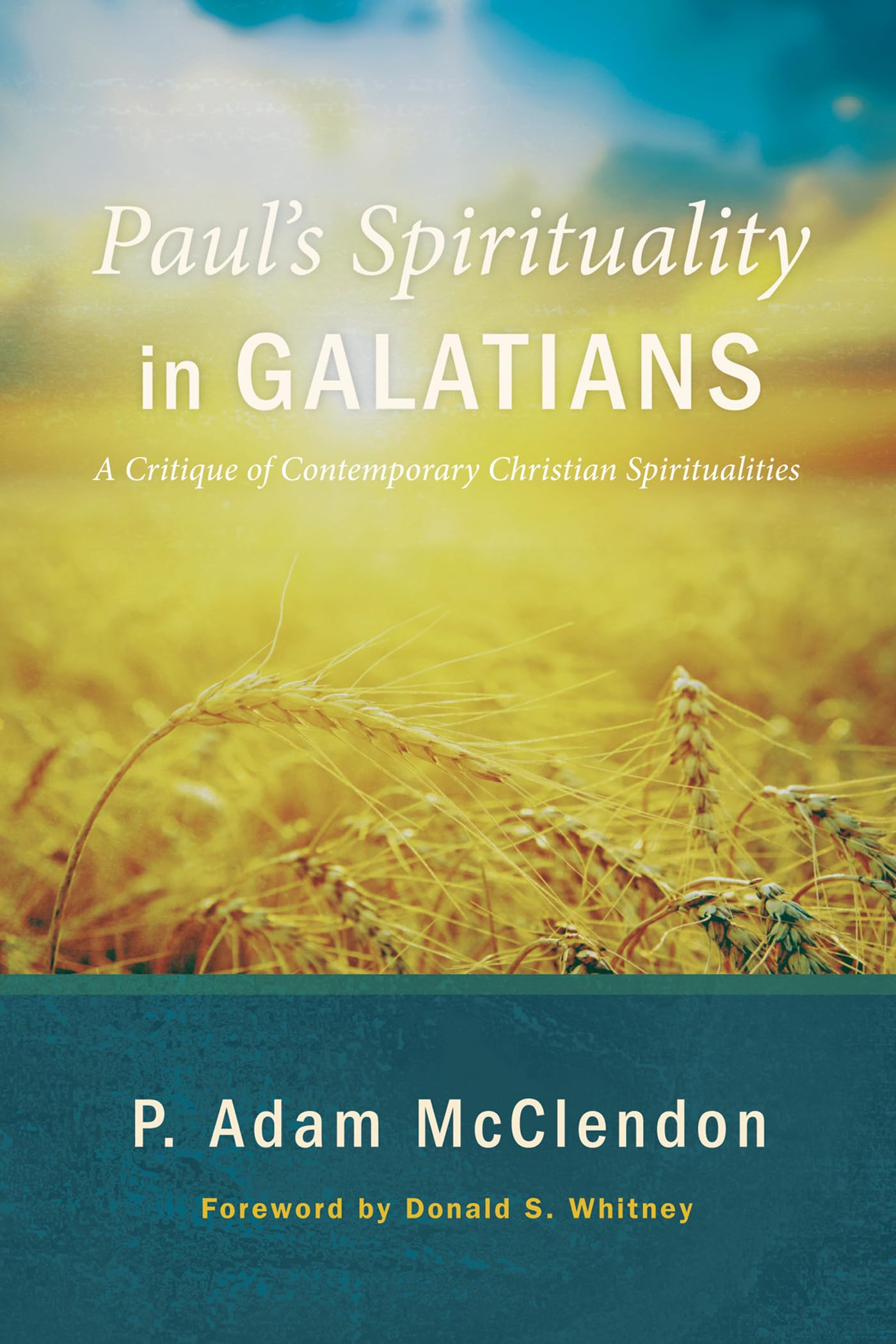 Paul's Spirituality in Galatians: A Critique of Contemporary Christian Spiritualities used book depot