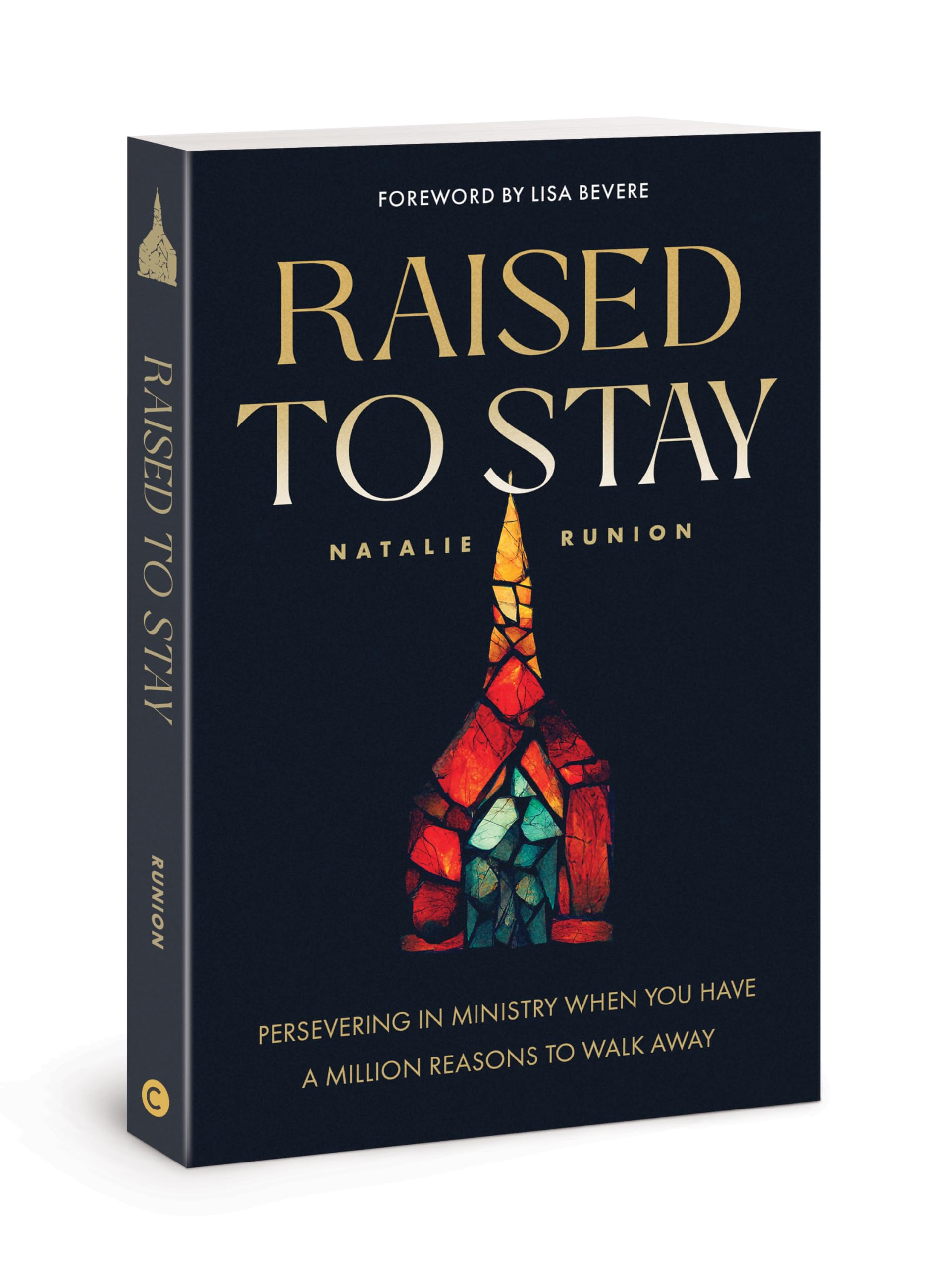 Raised to Stay: Persevering in Ministry When You Have a Million Reasons to Walk Away used book depot