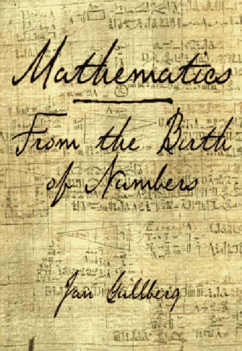 Mathematics: From the Birth of Numbers used book depot
