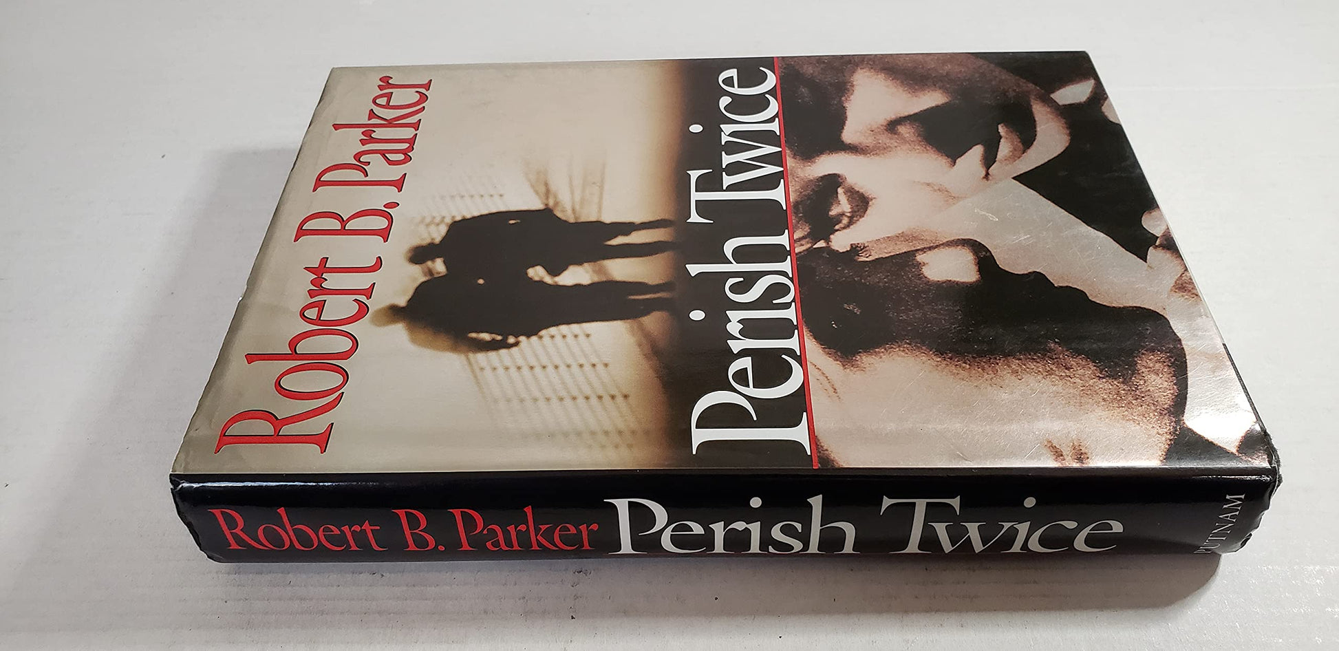 Perish Twice used book depot