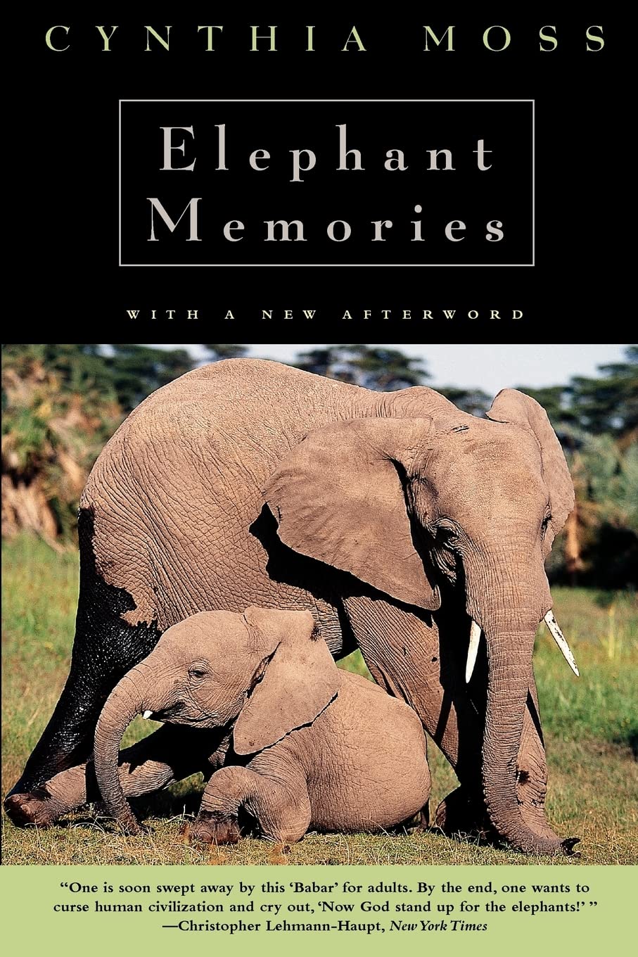 Elephant Memories: Thirteen Years in the Life of an Elephant Family used book depot