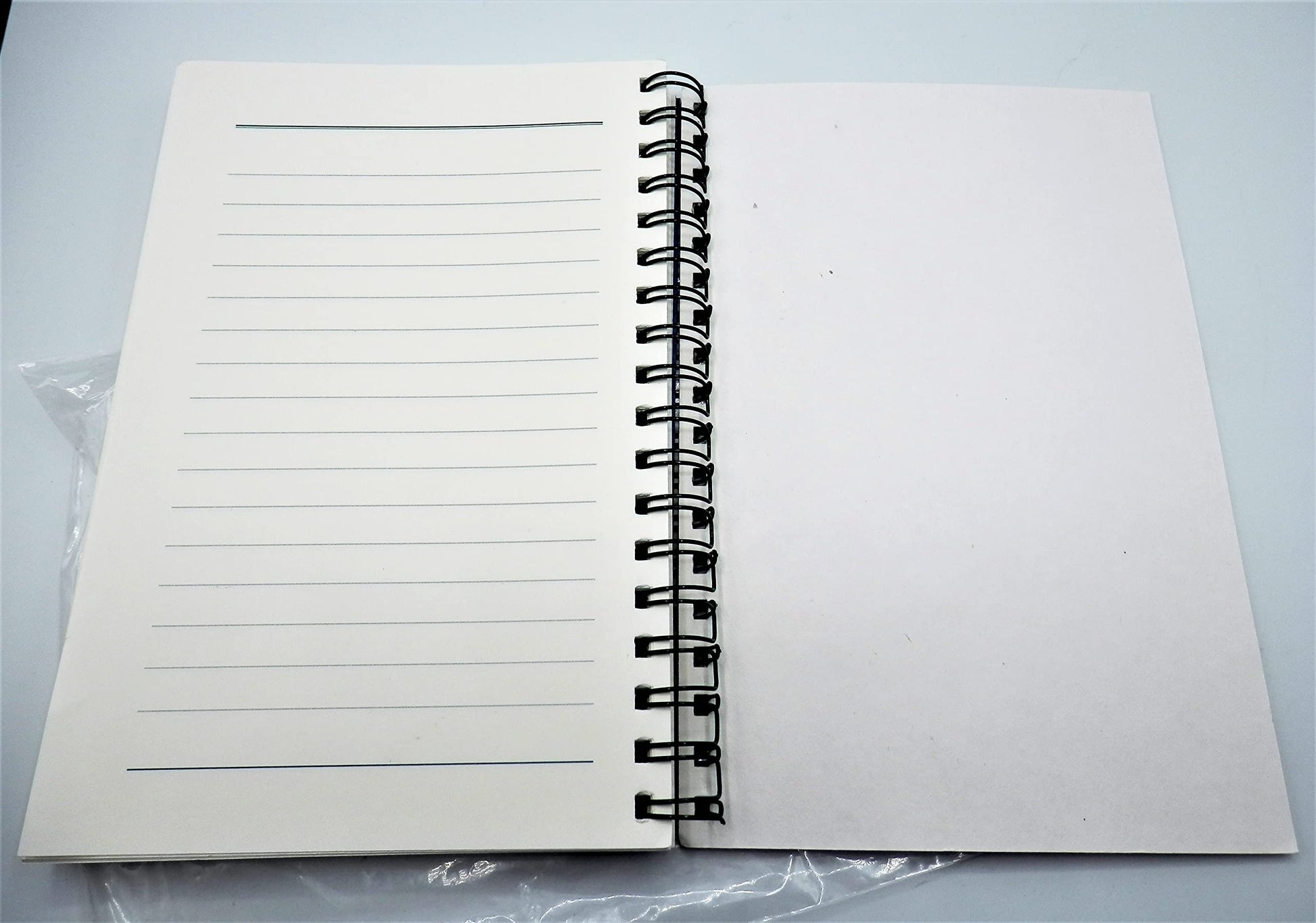 The Journal of Daily Renewal: The Companion to Make the Connection used book depot
