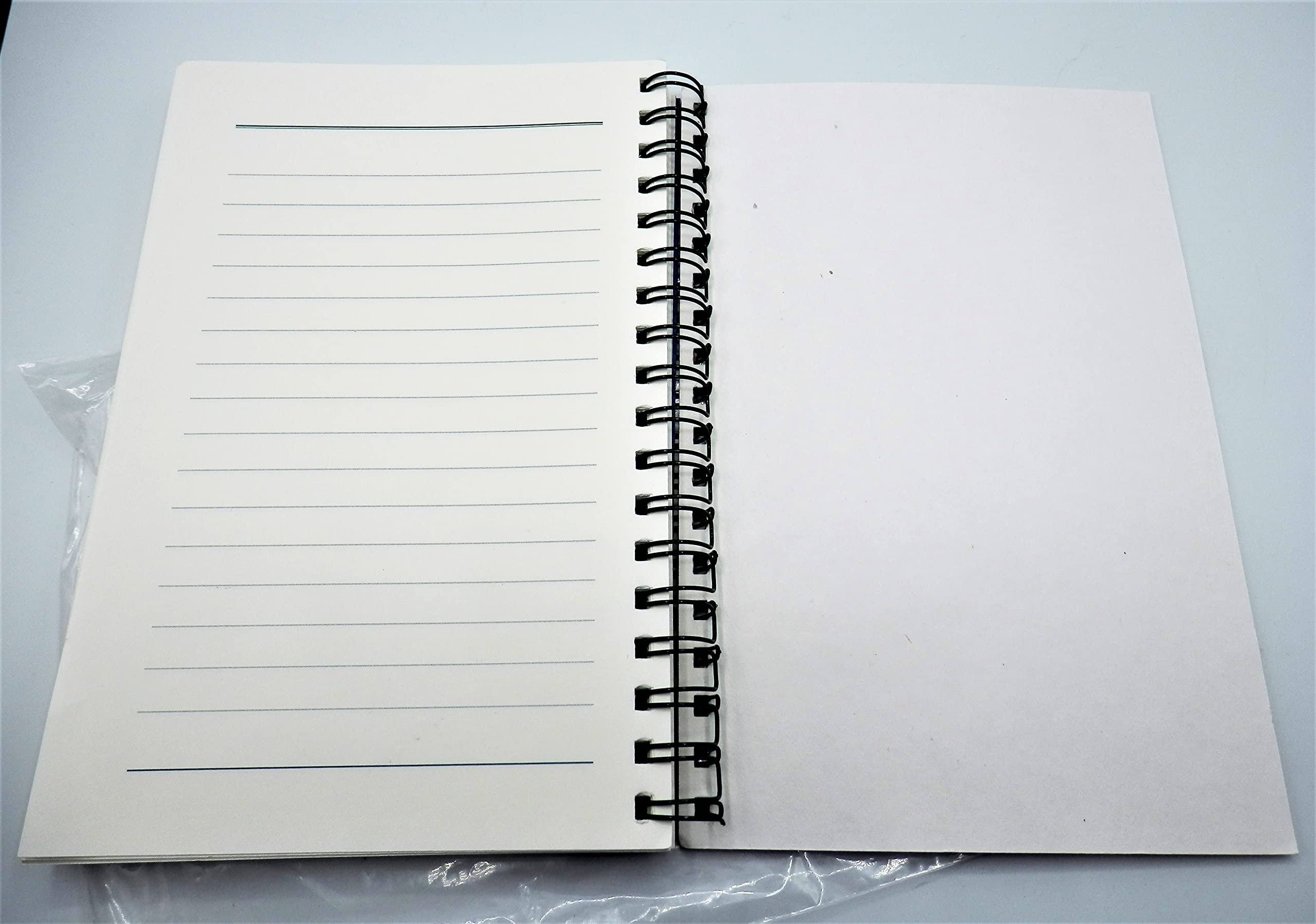 The Journal of Daily Renewal: The Companion to Make the Connection