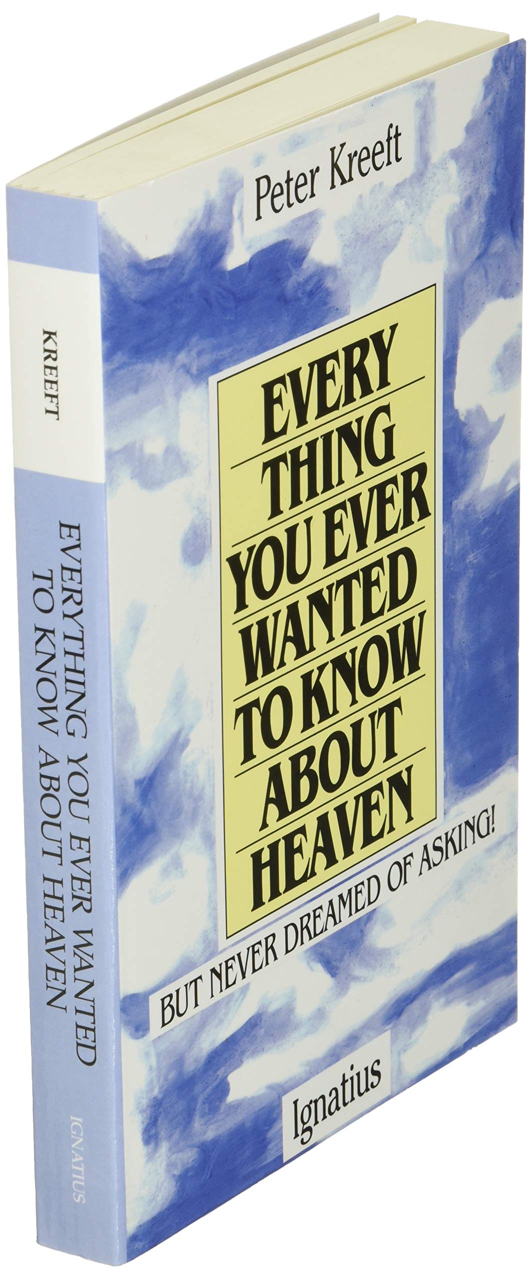 Everything You Ever Wanted to Know About Heaven: But Never Dreamed of Asking used book depot