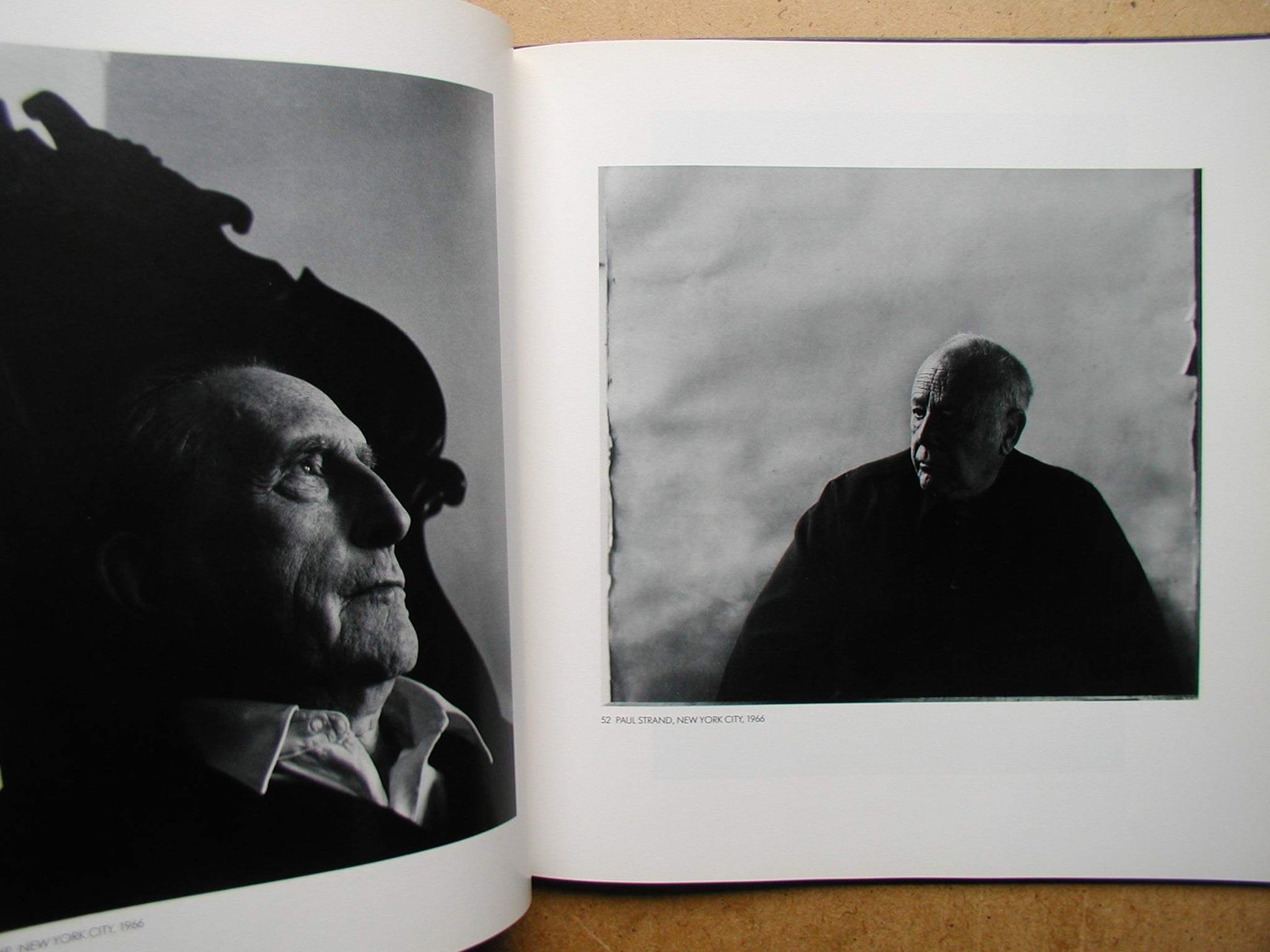 Arnold Newman, five decades (A Harvest/HBJ original) used book depot