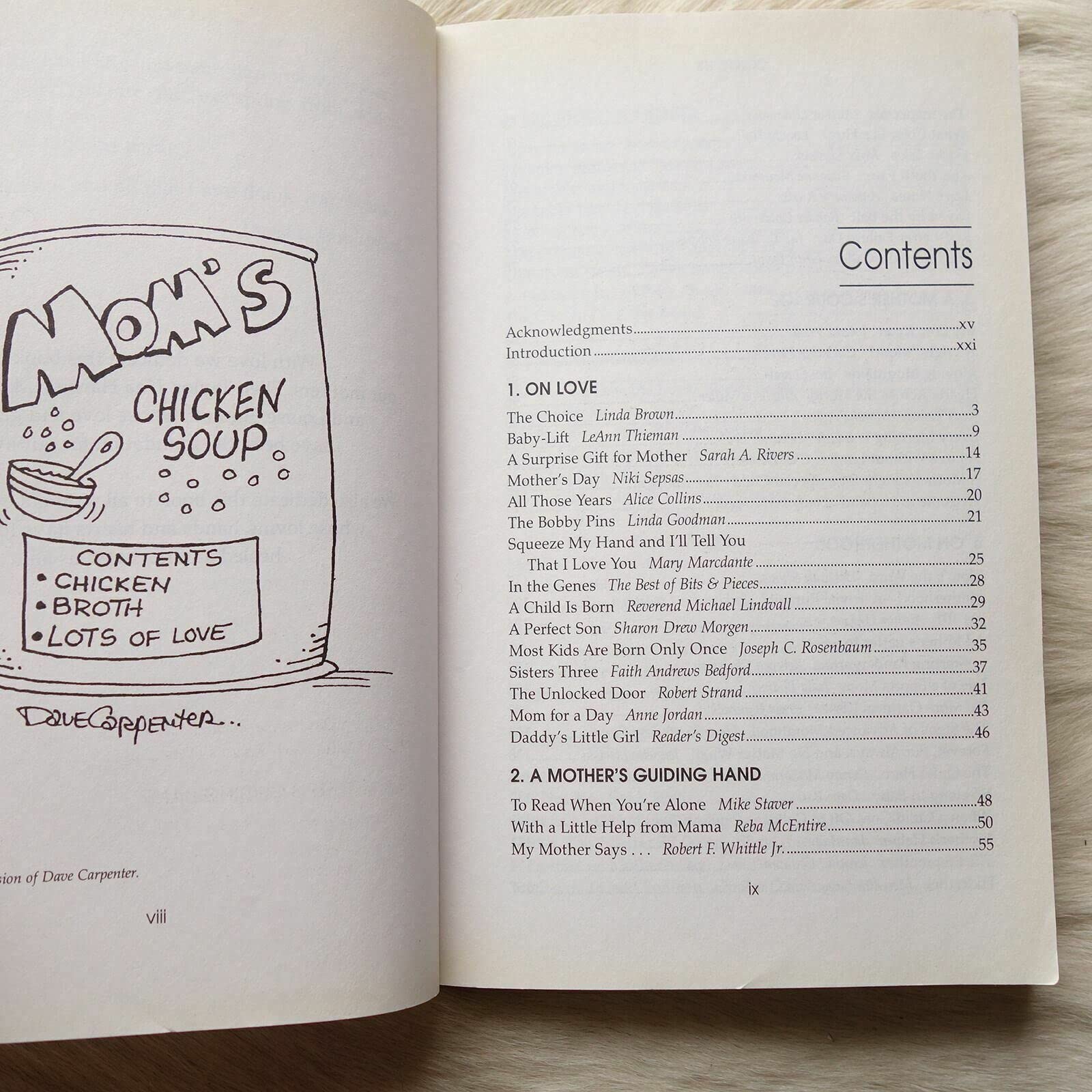 Chicken Soup for the Mother's Soul: 101 Stories to Open the Hearts and Rekindle the Spirits of Mothers (Chicken Soup for the Soul) used book depot