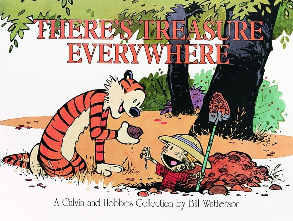 There's Treasure Everywhere--A Calvin and Hobbes Collection (Volume 15) used book depot