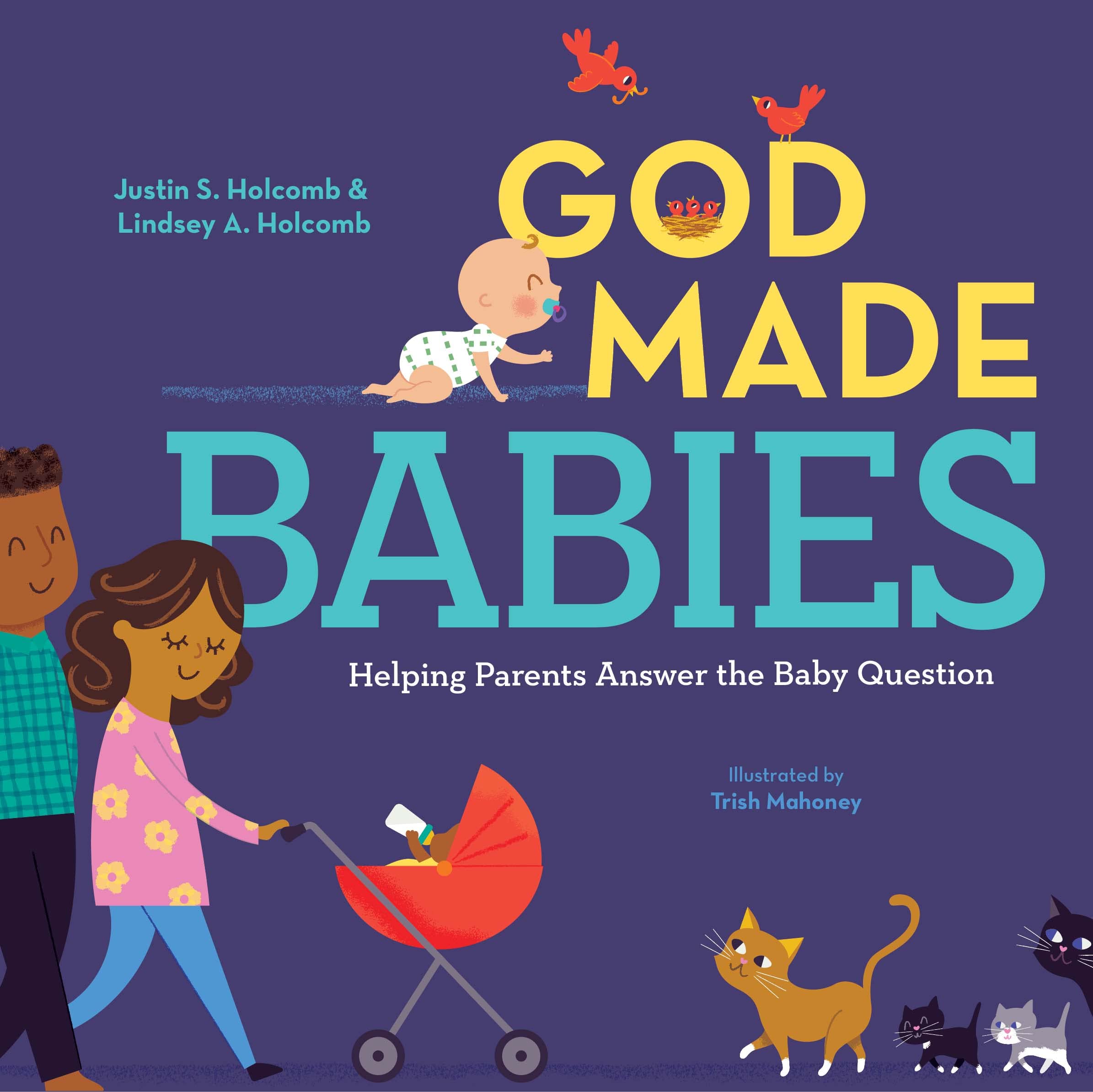 God Made Babies: Helping Parents Answer the Baby Question (God Made Me) used book depot