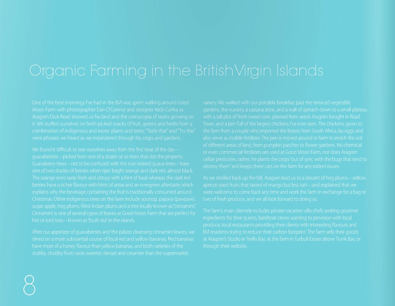 Taste: Recipes from Acclaimed BVI Restaurants and Chefs used book depot