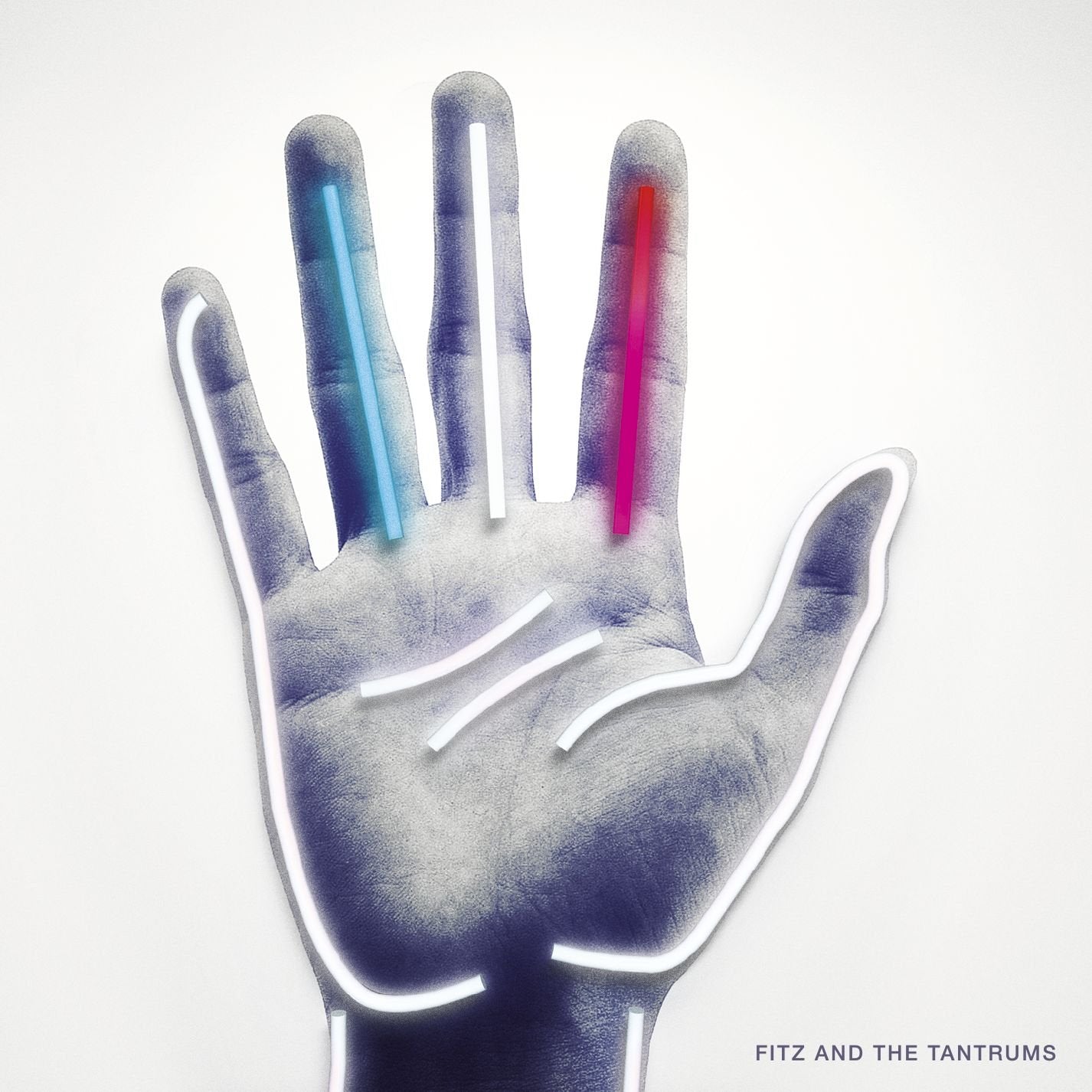 Fitz and The Tantrums used book depot