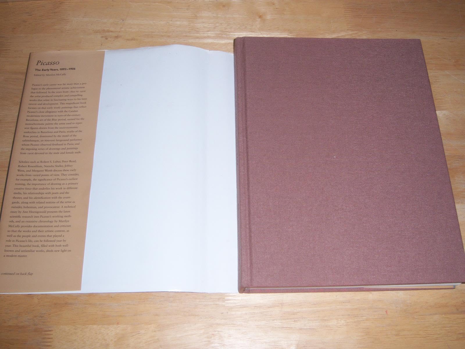 Picasso: The Early Years, 1892-1906 used book depot
