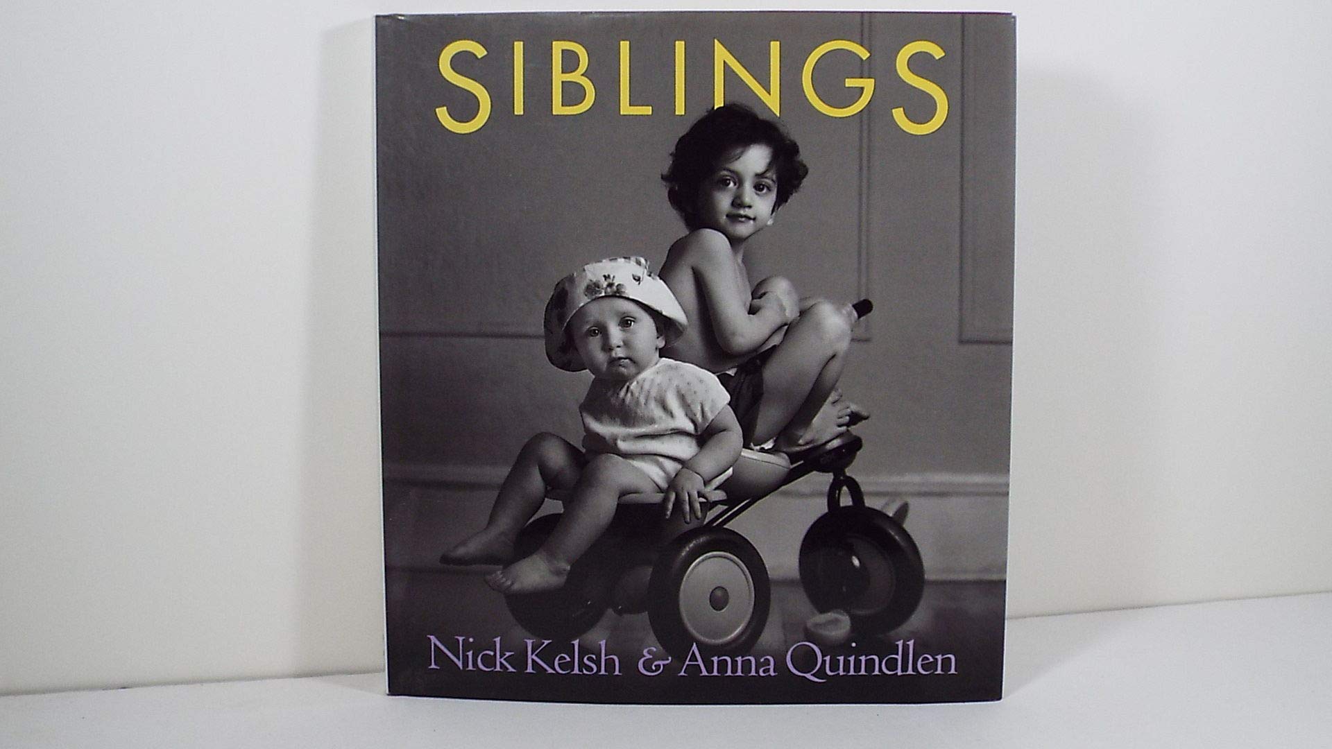 Siblings used book depot