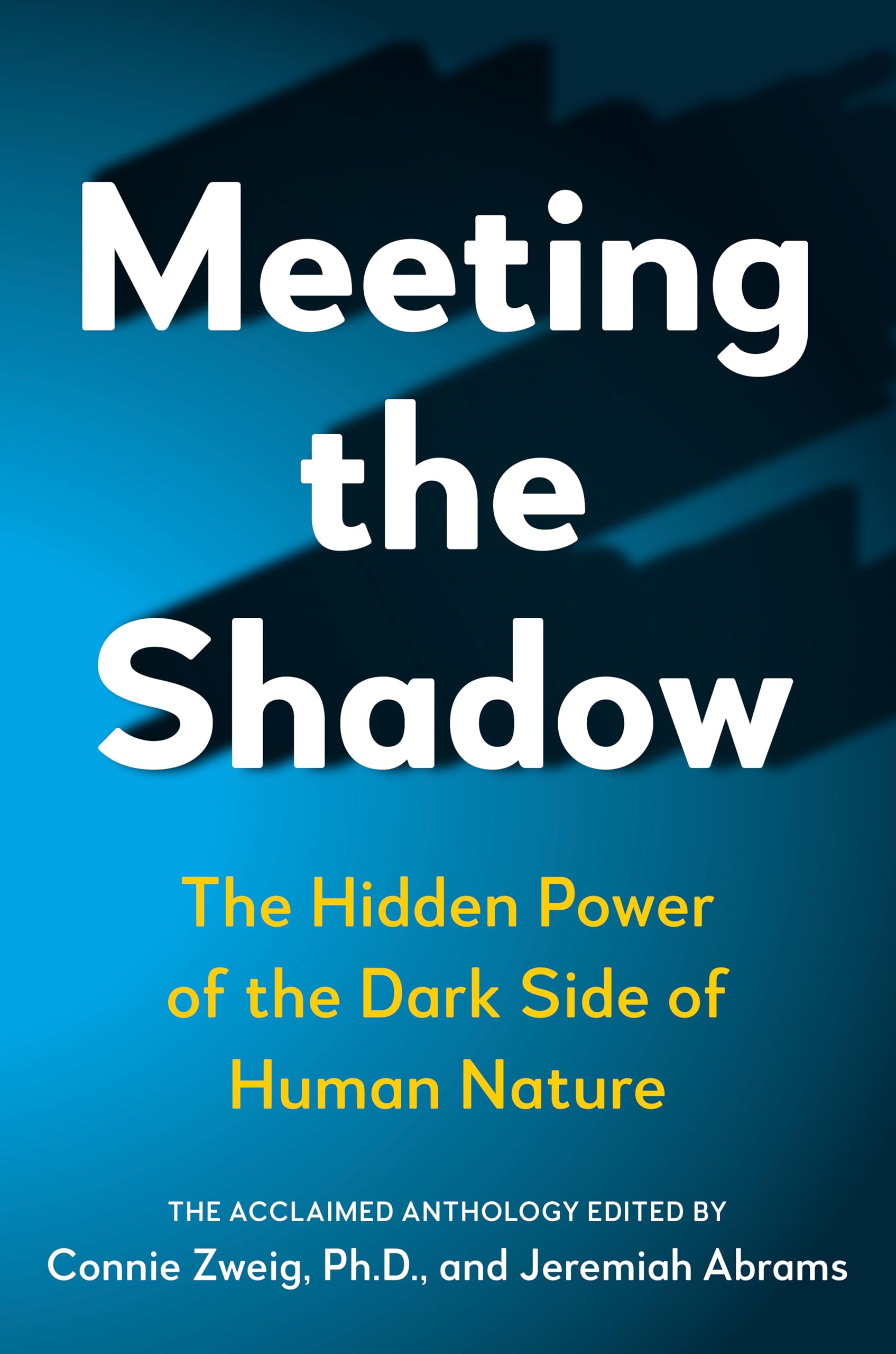Meeting the Shadow: The Hidden Power of the Dark Side of Human Nature used book depot